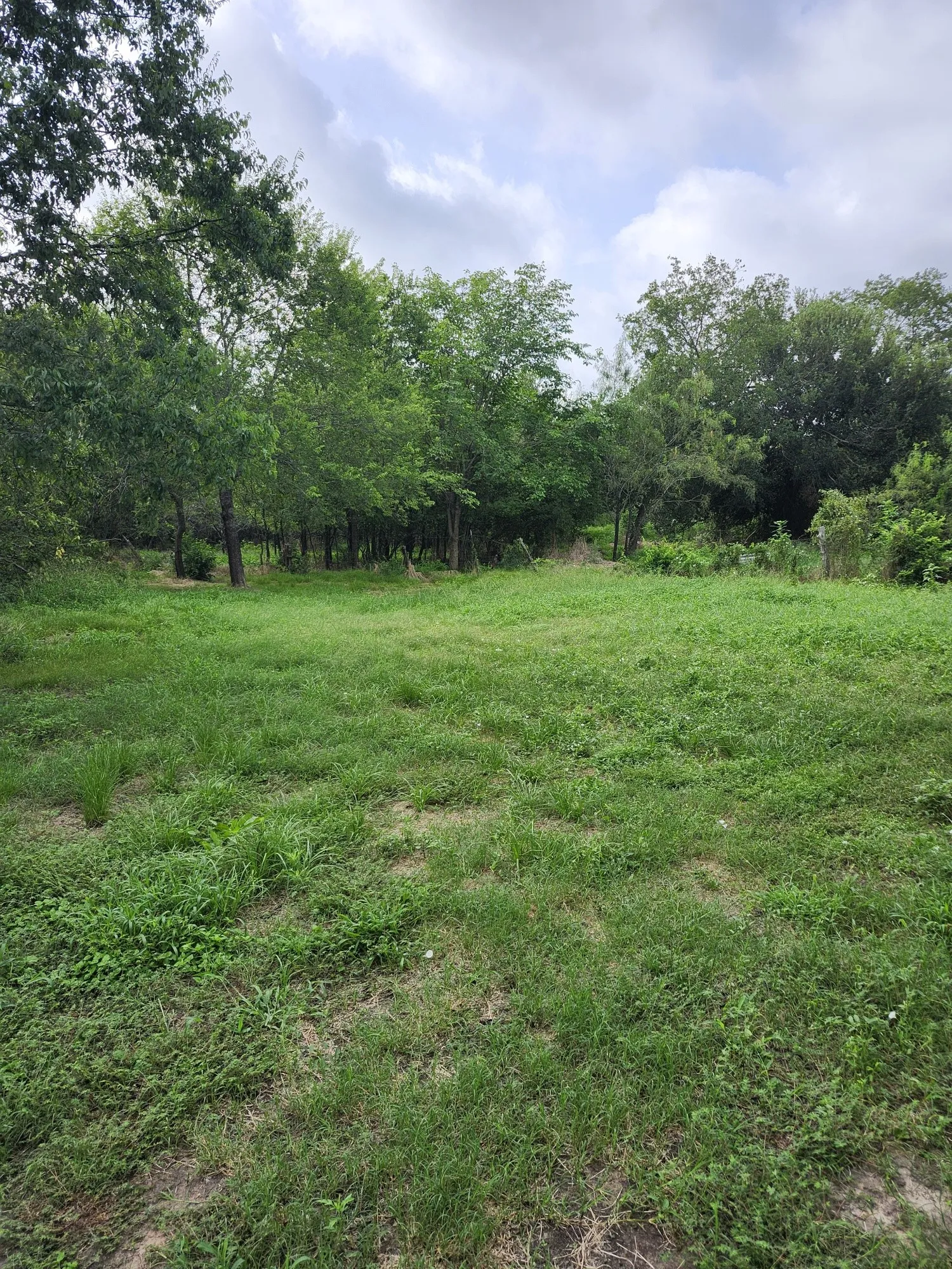 Improved Land For Sale in Falls County , 1202 Park Street, Marlin, Texas 76661, 0, 0, Garage spaces, 0 Sqft, built in 0, Price $80,000, mls#21226998, Real Estate Agent in Marlin, Homes For Sale in Falls county, Homes For Sale in Marlin, Realtor in Marlin Texas, Real Estate Brokerage Independent Realty Texas, Luminita Cordes Realtor
