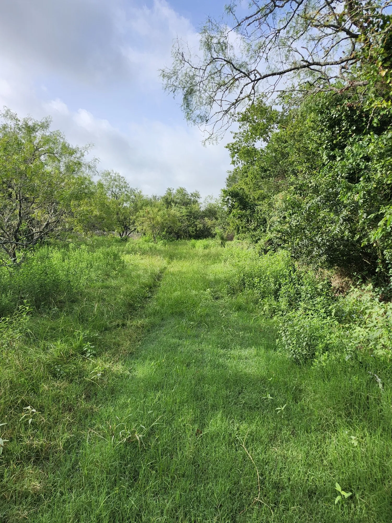 Improved Land For Sale in Falls County , 1202 Park Street, Marlin, Texas 76661, 0, 0, Garage spaces, 0 Sqft, built in 0, Price $80,000, mls#21226998, Real Estate Agent in Marlin, Homes For Sale in Falls county, Homes For Sale in Marlin, Realtor in Marlin Texas, Real Estate Brokerage Independent Realty Texas, Luminita Cordes Realtor