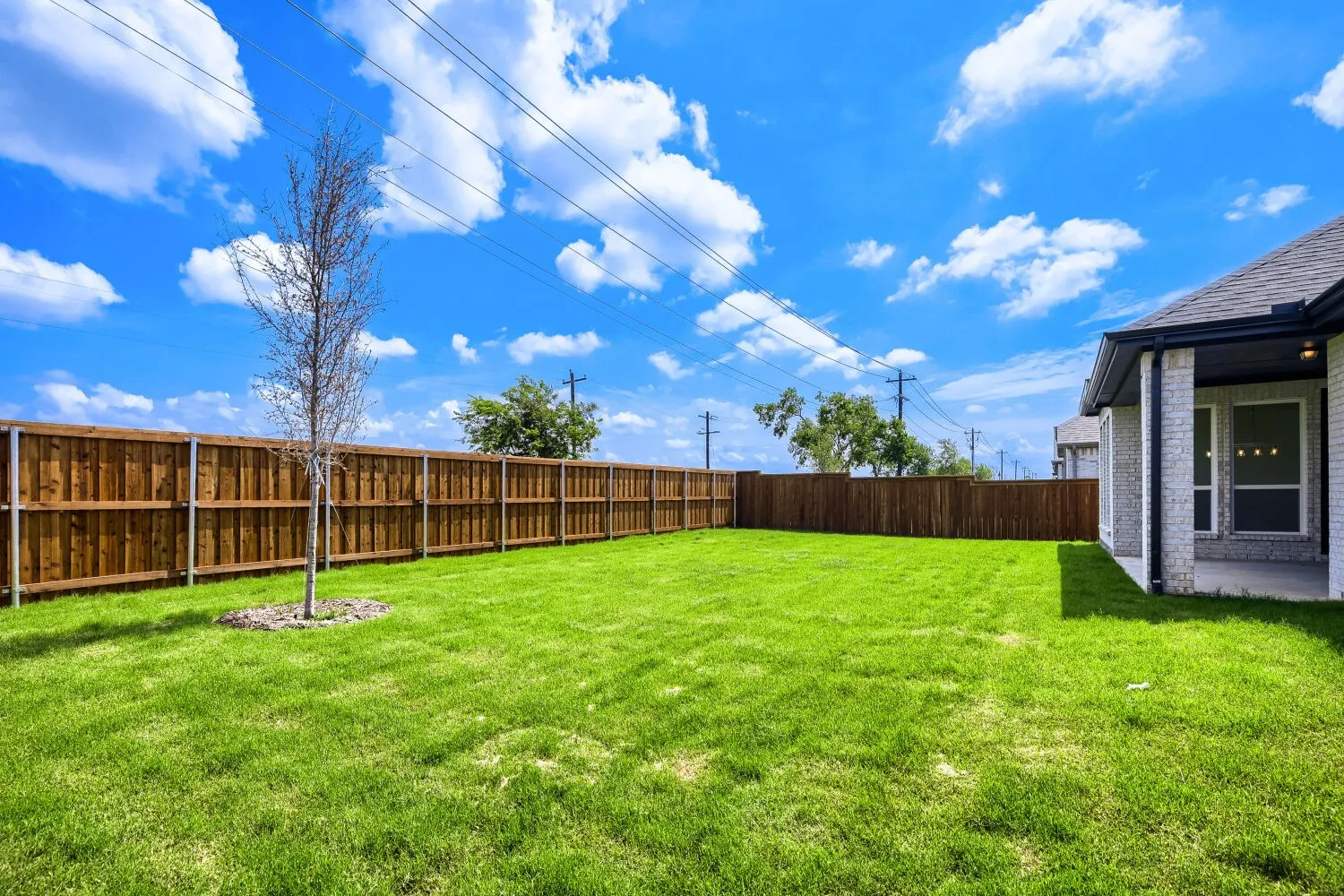 Expansive backyard featuring a manicured lawn, a young tree, and a full privacy fence