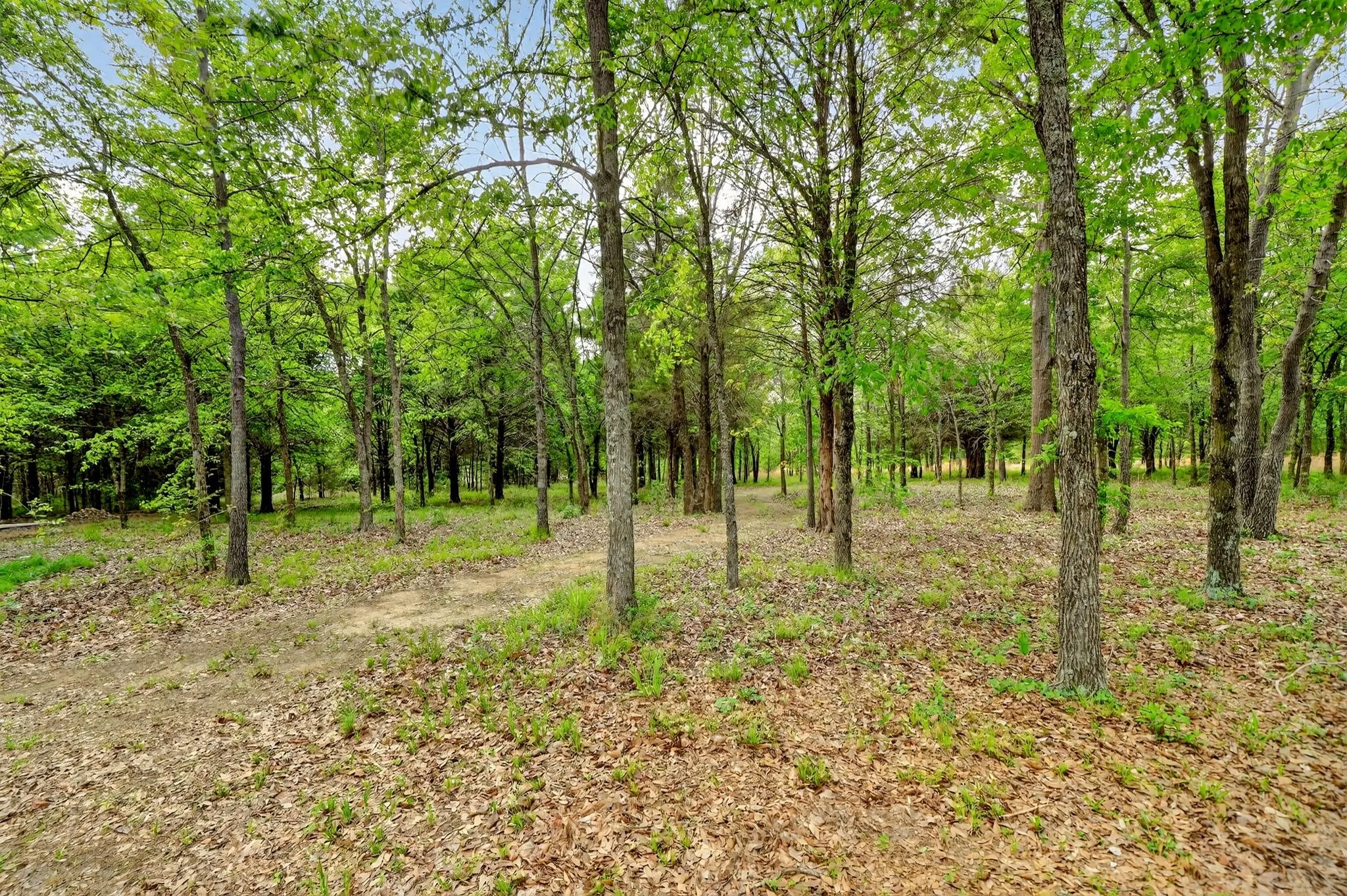 Single Family Residence For Sale in Kaufman County , 2211 Canyon Lake Road, Wills Point, Texas 75169, 3 Bedroom, 3 Bathroom, 2 Garage spaces, 2,554 Sqft, built in 2018, mls#21225020, Real Estate Agent in Wills Point, Homes For Sale in Kaufman county, Homes For Sale in Wills Point, Realtor in Wills Point Texas, Real Estate Brokerage Independent Realty Texas, Luminita Cordes Realtor