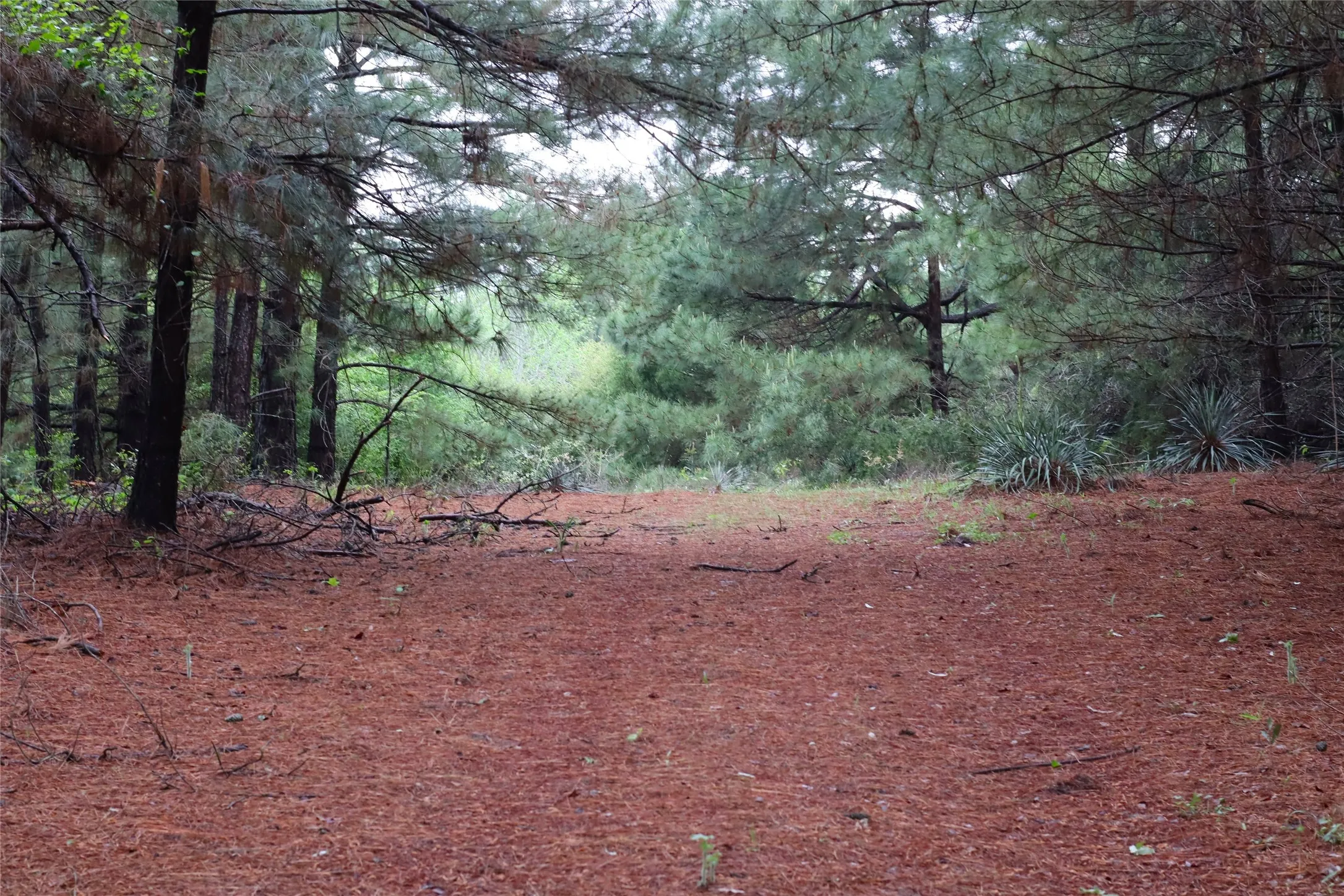 Unimproved Land For Sale in Henderson County , TBD FM 317, Chandler, Texas 75758, 0, 0, Garage spaces, 0 Sqft, built in 0, Price $845,000, mls#21227422, Real Estate Agent in Chandler, Homes For Sale in Henderson county, Homes For Sale in Chandler, Realtor in Chandler Texas, Real Estate Brokerage Independent Realty Texas, Luminita Cordes Realtor