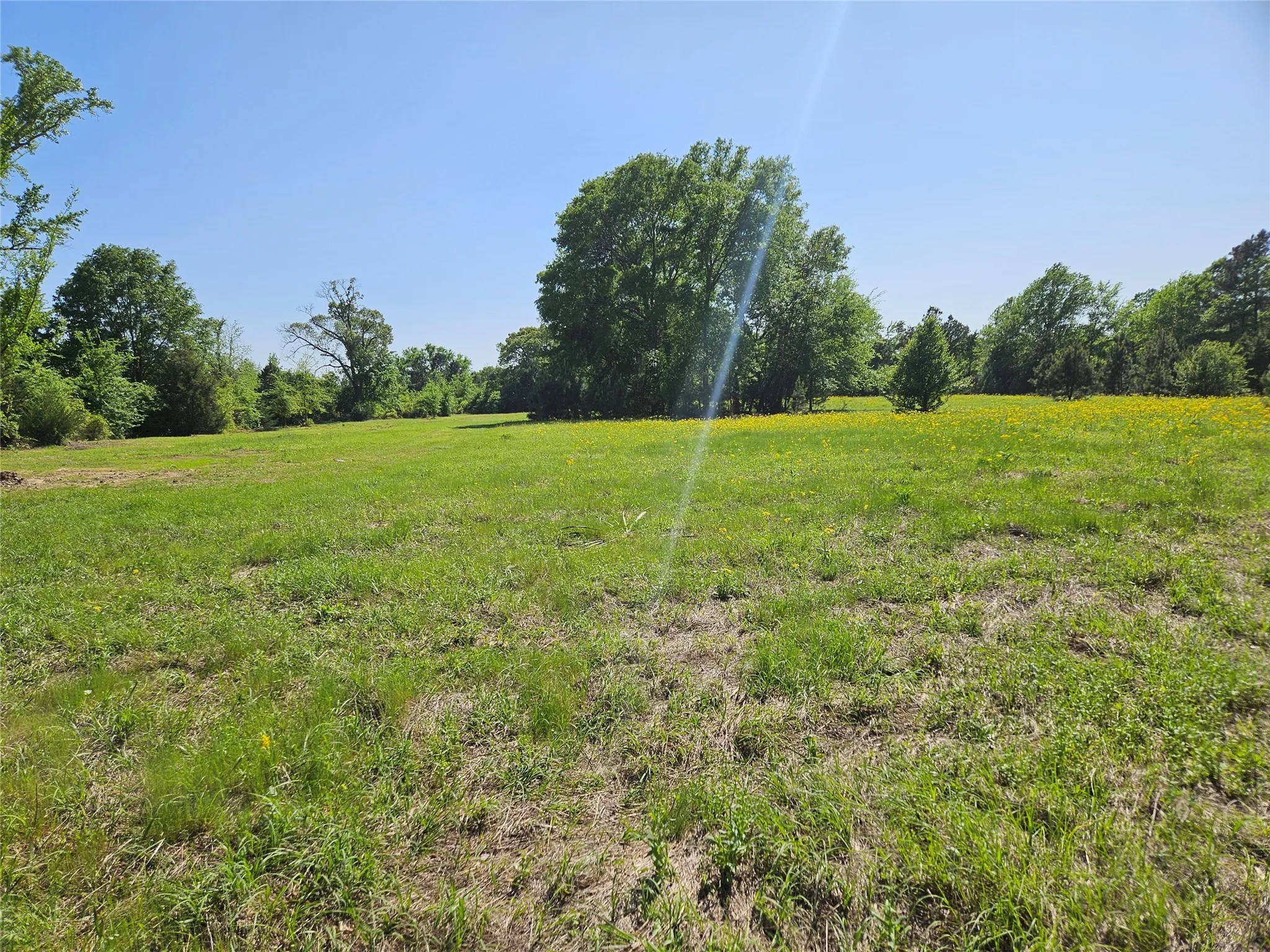 Unimproved Land For Sale in Henderson County , TBD FM 317, Chandler, Texas 75758, 0, 0, Garage spaces, 0 Sqft, built in 0, Price $845,000, mls#21227422, Real Estate Agent in Chandler, Homes For Sale in Henderson county, Homes For Sale in Chandler, Realtor in Chandler Texas, Real Estate Brokerage Independent Realty Texas, Luminita Cordes Realtor