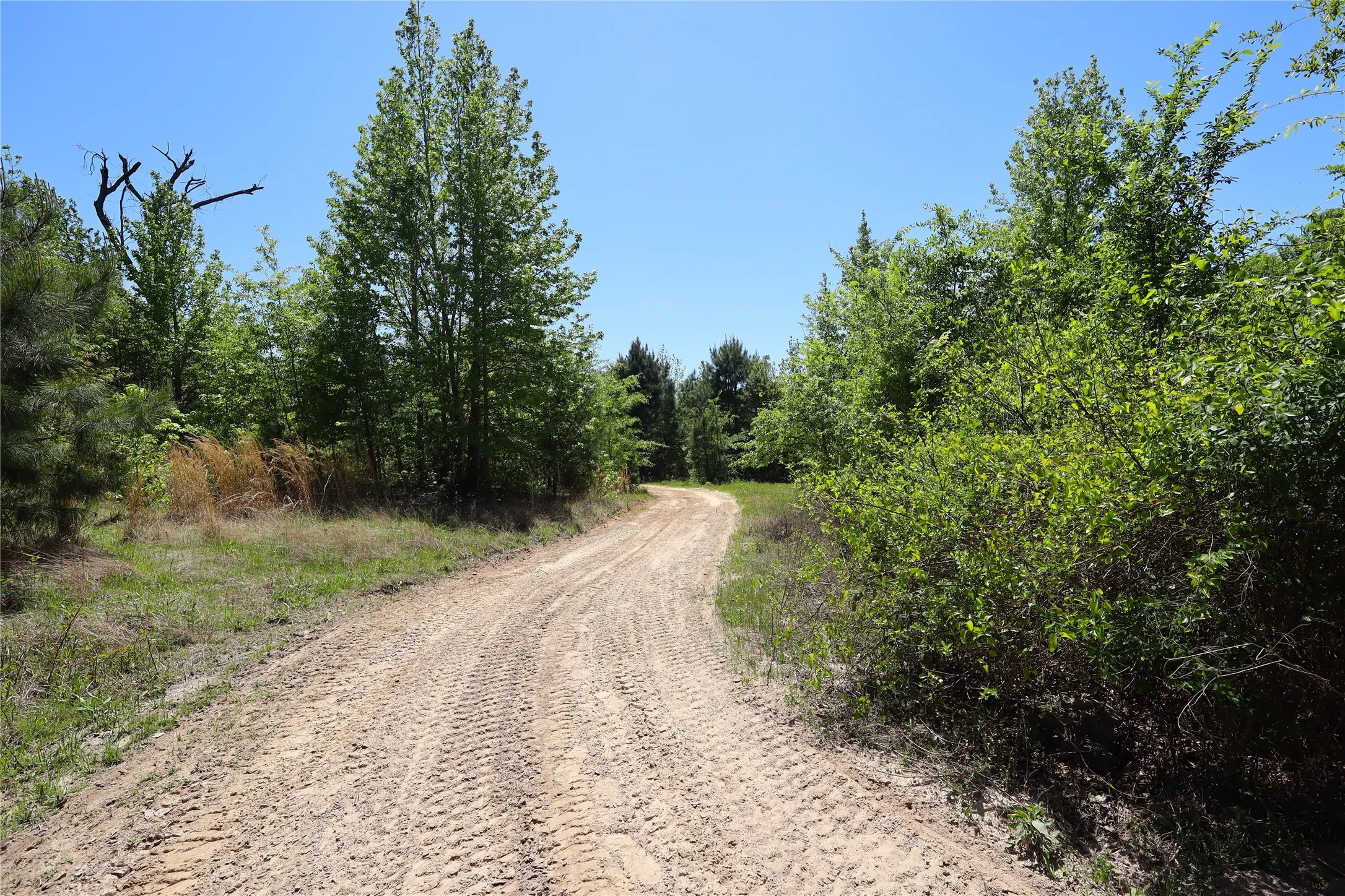 Unimproved Land For Sale in Henderson County , TBD FM 317, Chandler, Texas 75758, 0, 0, Garage spaces, 0 Sqft, built in 0, Price $845,000, mls#21227422, Real Estate Agent in Chandler, Homes For Sale in Henderson county, Homes For Sale in Chandler, Realtor in Chandler Texas, Real Estate Brokerage Independent Realty Texas, Luminita Cordes Realtor