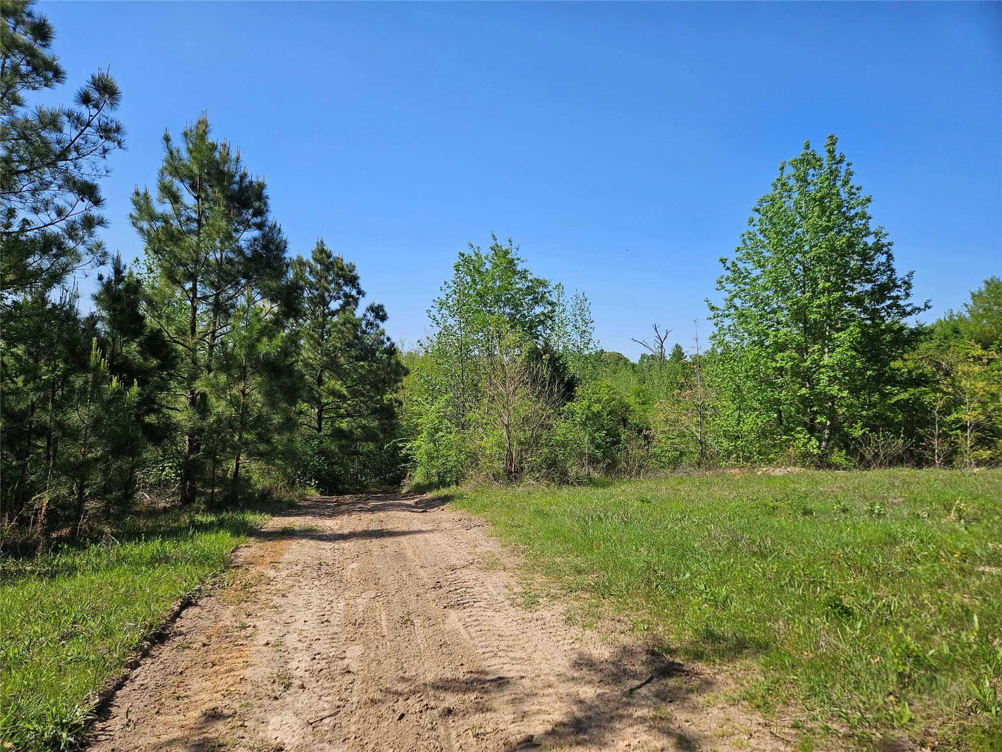 Unimproved Land For Sale in Henderson County , TBD FM 317, Chandler, Texas 75758, 0, 0, Garage spaces, 0 Sqft, built in 0, Price $845,000, mls#21227422, Real Estate Agent in Chandler, Homes For Sale in Henderson county, Homes For Sale in Chandler, Realtor in Chandler Texas, Real Estate Brokerage Independent Realty Texas, Luminita Cordes Realtor