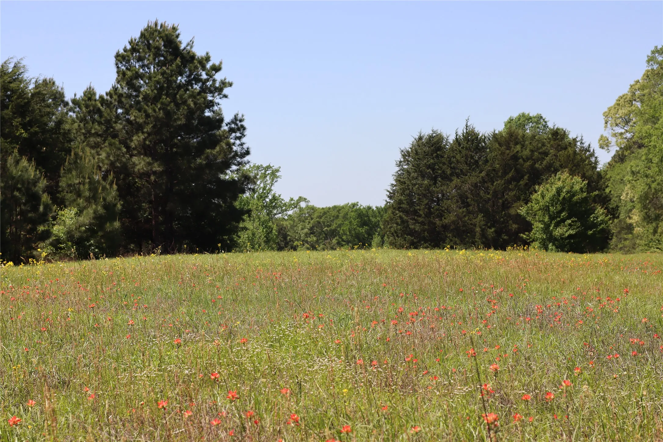 Unimproved Land For Sale in Henderson County , TBD FM 317, Chandler, Texas 75758, 0, 0, Garage spaces, 0 Sqft, built in 0, Price $845,000, mls#21227422, Real Estate Agent in Chandler, Homes For Sale in Henderson county, Homes For Sale in Chandler, Realtor in Chandler Texas, Real Estate Brokerage Independent Realty Texas, Luminita Cordes Realtor
