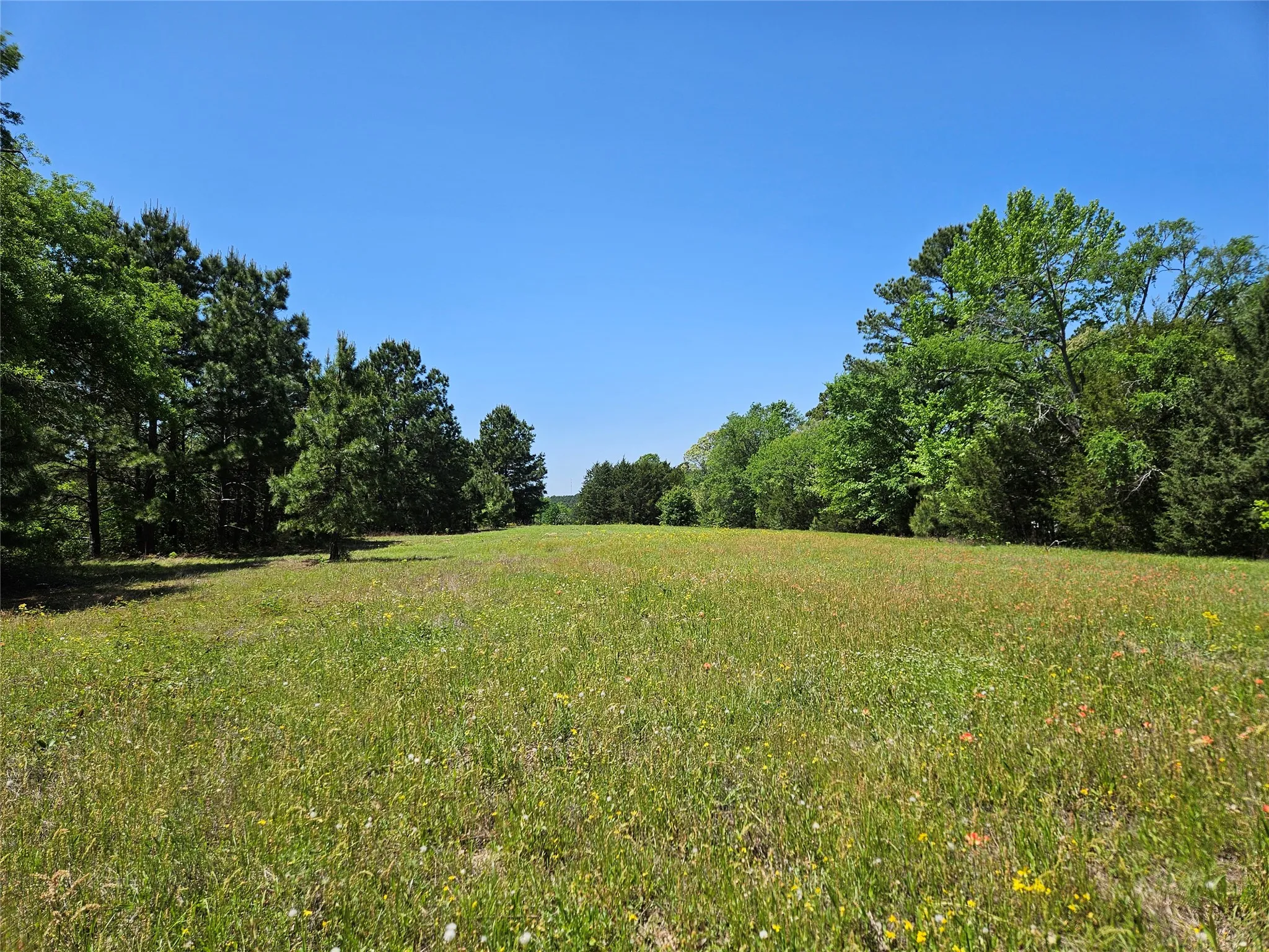 Unimproved Land For Sale in Henderson County , TBD FM 317, Chandler, Texas 75758, 0, 0, Garage spaces, 0 Sqft, built in 0, Price $845,000, mls#21227422, Real Estate Agent in Chandler, Homes For Sale in Henderson county, Homes For Sale in Chandler, Realtor in Chandler Texas, Real Estate Brokerage Independent Realty Texas, Luminita Cordes Realtor