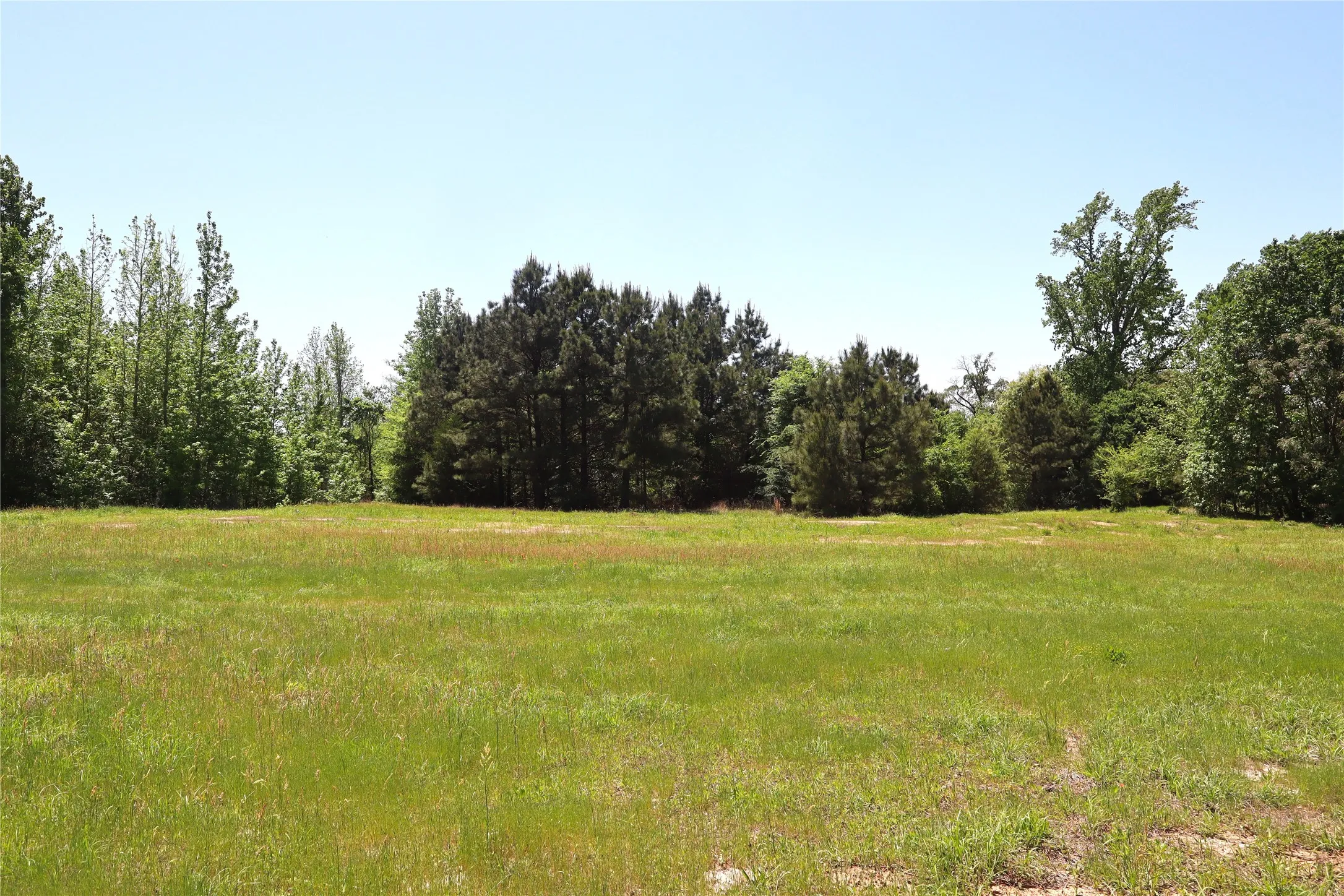 Unimproved Land For Sale in Henderson County , TBD FM 317, Chandler, Texas 75758, 0, 0, Garage spaces, 0 Sqft, built in 0, Price $845,000, mls#21227422, Real Estate Agent in Chandler, Homes For Sale in Henderson county, Homes For Sale in Chandler, Realtor in Chandler Texas, Real Estate Brokerage Independent Realty Texas, Luminita Cordes Realtor