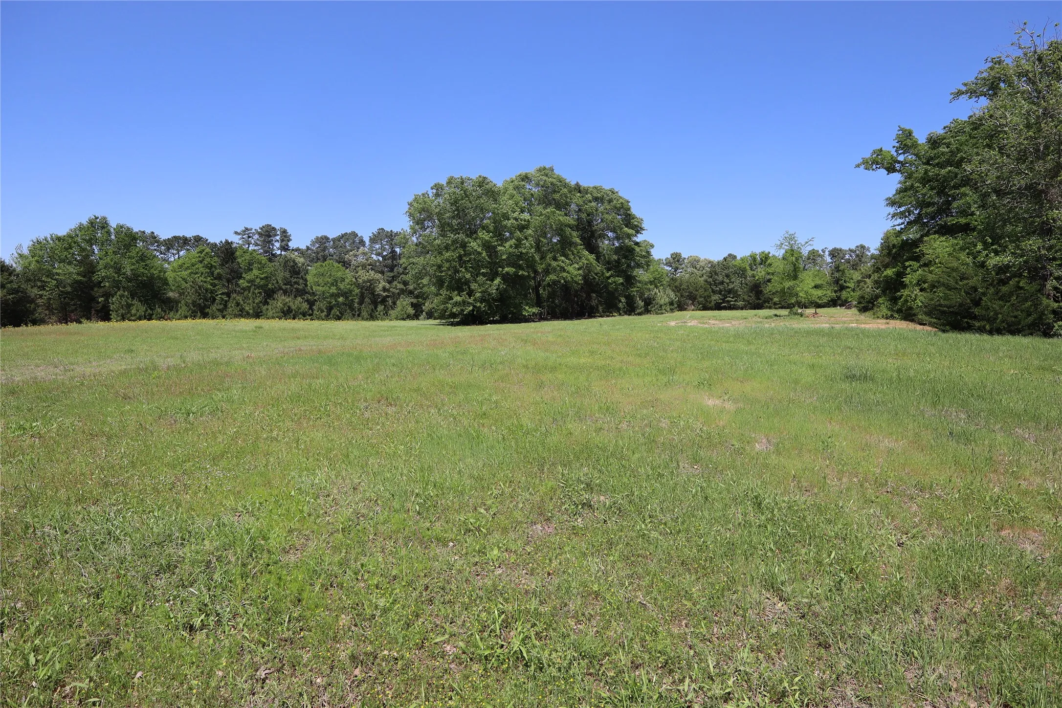 Unimproved Land For Sale in Henderson County , TBD FM 317, Chandler, Texas 75758, 0, 0, Garage spaces, 0 Sqft, built in 0, Price $845,000, mls#21227422, Real Estate Agent in Chandler, Homes For Sale in Henderson county, Homes For Sale in Chandler, Realtor in Chandler Texas, Real Estate Brokerage Independent Realty Texas, Luminita Cordes Realtor