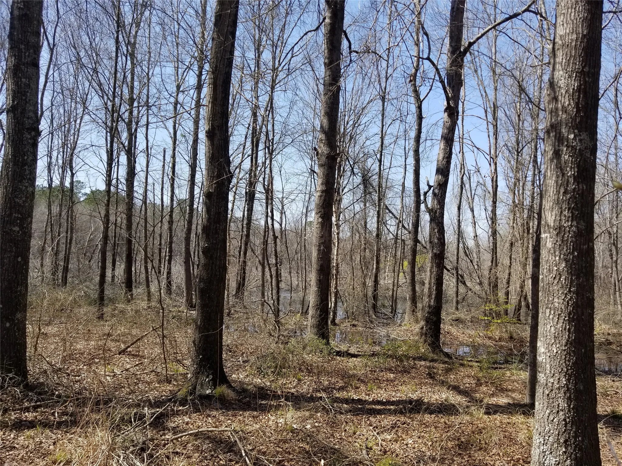 Unimproved Land For Sale in Henderson County , TBD FM 317, Chandler, Texas 75758, 0, 0, Garage spaces, 0 Sqft, built in 0, Price $845,000, mls#21227422, Real Estate Agent in Chandler, Homes For Sale in Henderson county, Homes For Sale in Chandler, Realtor in Chandler Texas, Real Estate Brokerage Independent Realty Texas, Luminita Cordes Realtor