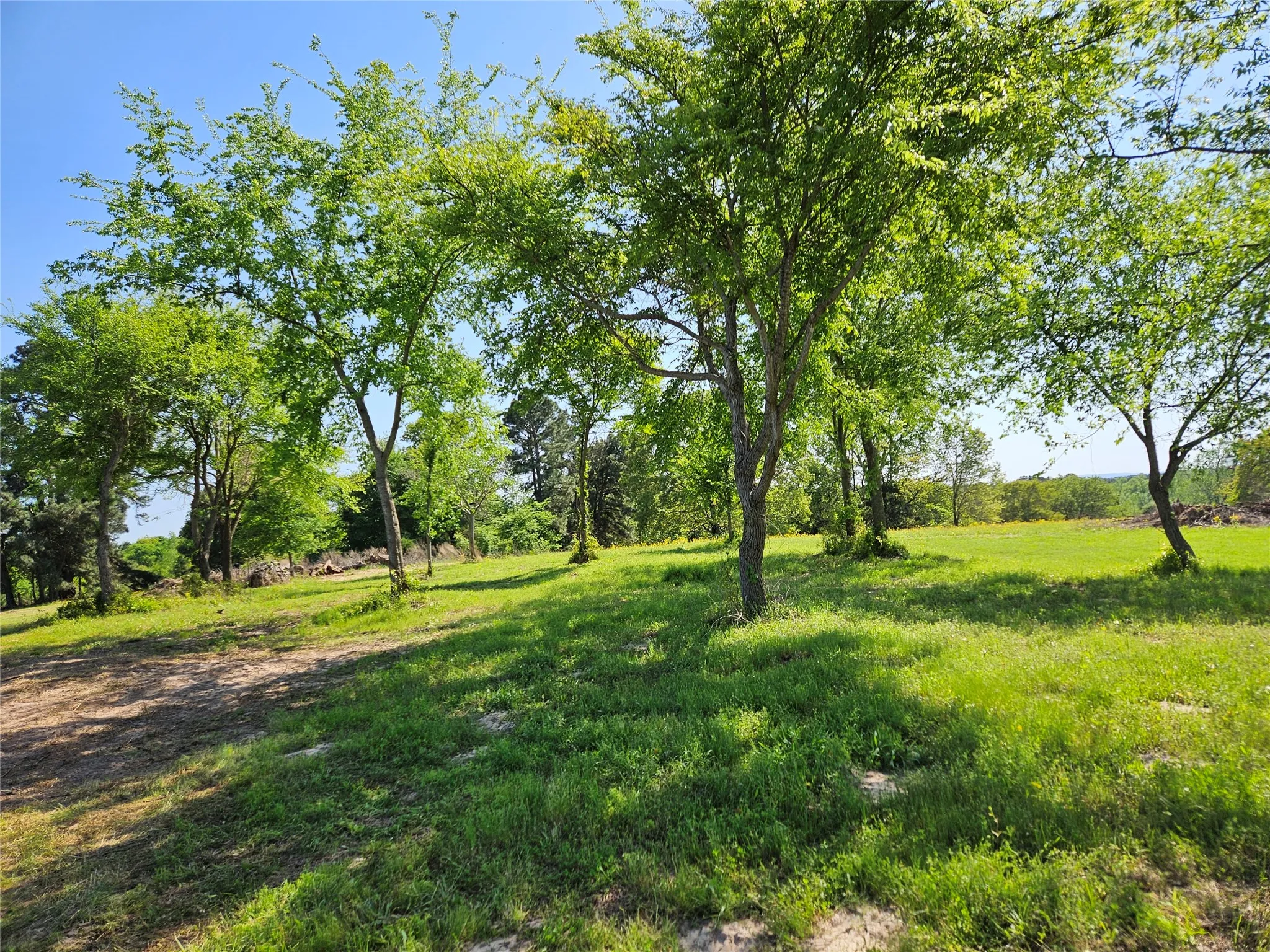 Unimproved Land For Sale in Henderson County , TBD FM 317, Chandler, Texas 75758, 0, 0, Garage spaces, 0 Sqft, built in 0, Price $845,000, mls#21227422, Real Estate Agent in Chandler, Homes For Sale in Henderson county, Homes For Sale in Chandler, Realtor in Chandler Texas, Real Estate Brokerage Independent Realty Texas, Luminita Cordes Realtor