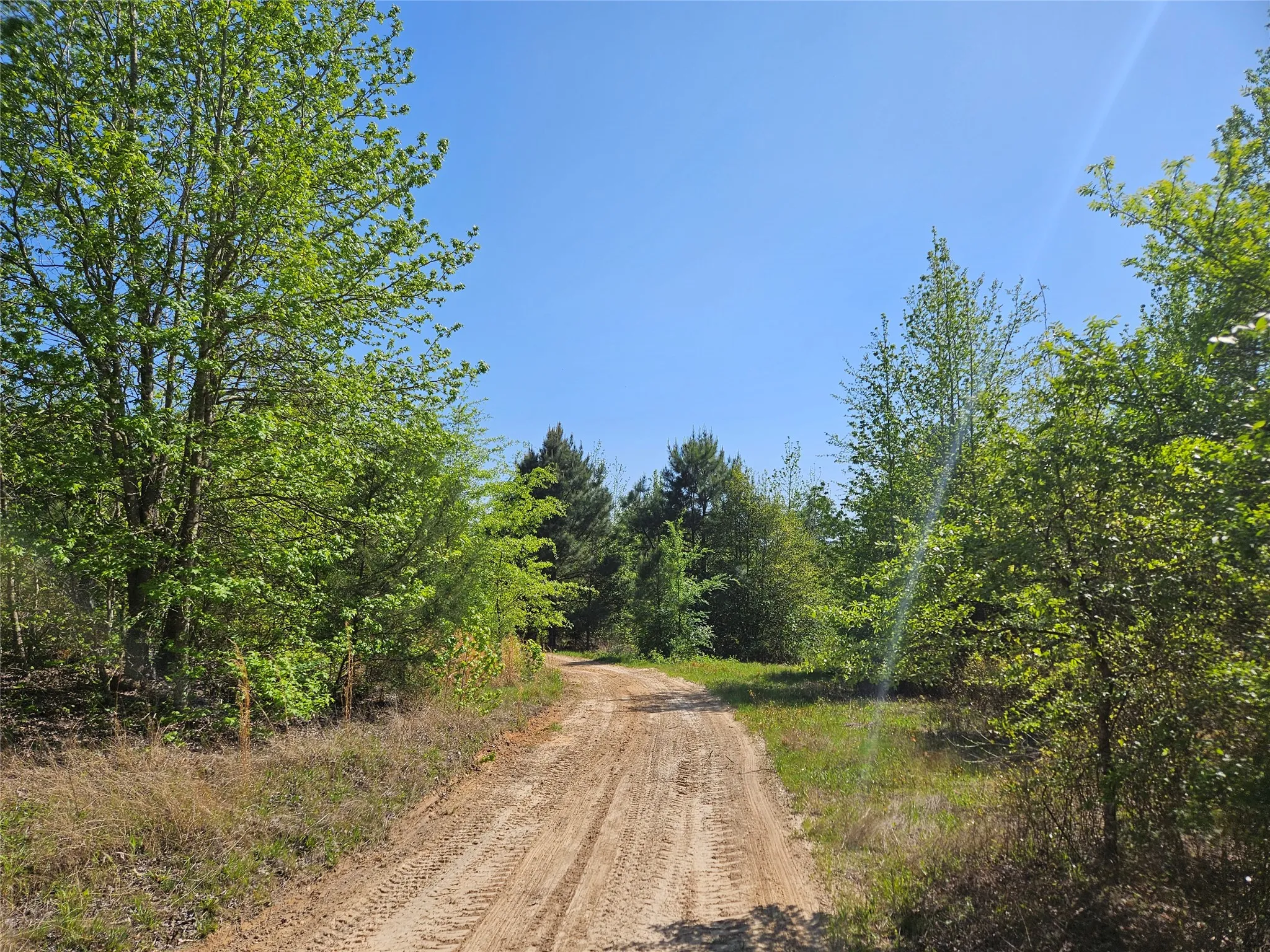 Unimproved Land For Sale in Henderson County , TBD FM 317, Chandler, Texas 75758, 0, 0, Garage spaces, 0 Sqft, built in 0, Price $845,000, mls#21227422, Real Estate Agent in Chandler, Homes For Sale in Henderson county, Homes For Sale in Chandler, Realtor in Chandler Texas, Real Estate Brokerage Independent Realty Texas, Luminita Cordes Realtor