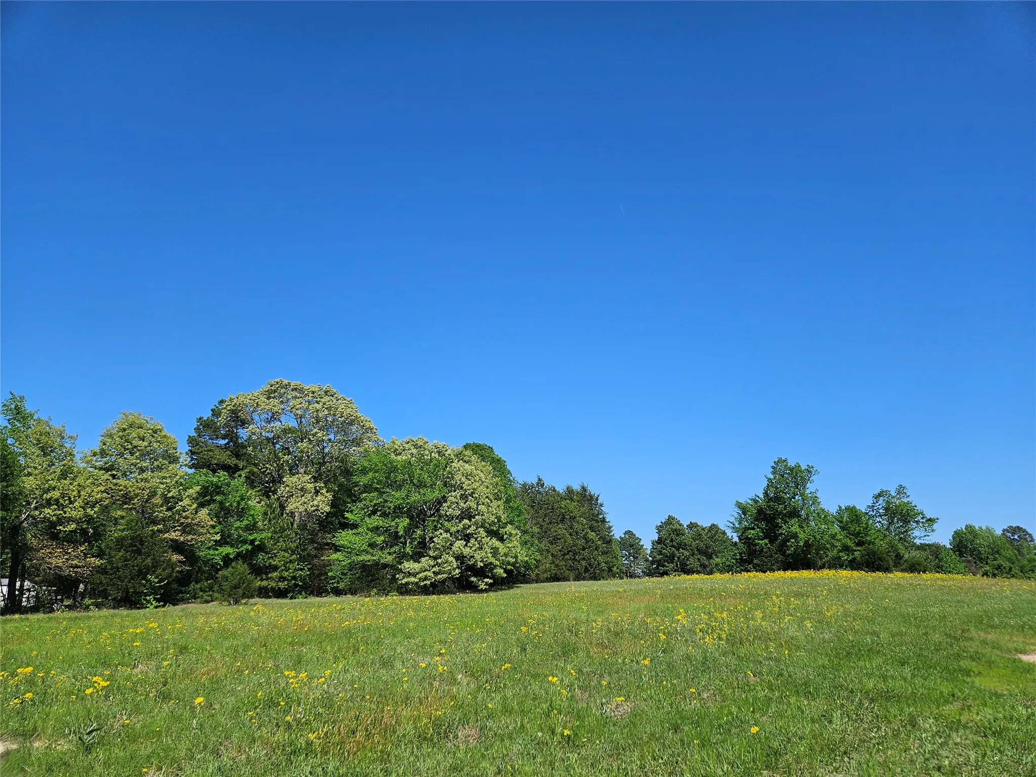 Unimproved Land For Sale in Henderson County , TBD FM 317, Chandler, Texas 75758, 0, 0, Garage spaces, 0 Sqft, built in 0, Price $845,000, mls#21227422, Real Estate Agent in Chandler, Homes For Sale in Henderson county, Homes For Sale in Chandler, Realtor in Chandler Texas, Real Estate Brokerage Independent Realty Texas, Luminita Cordes Realtor