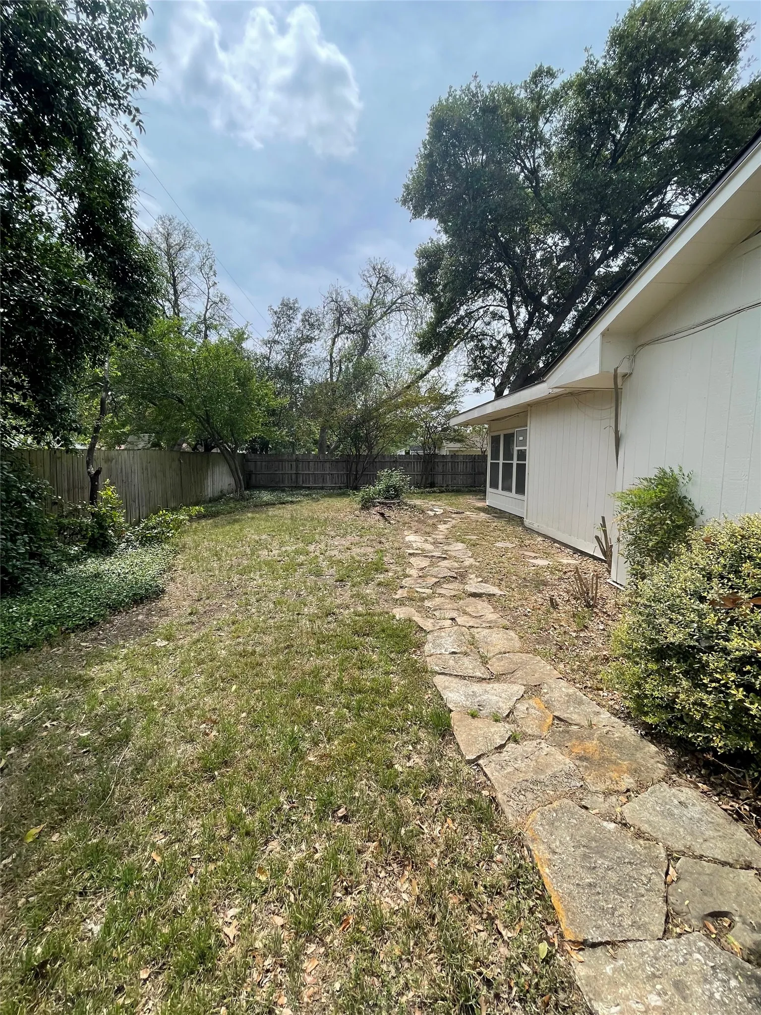 Back Yard