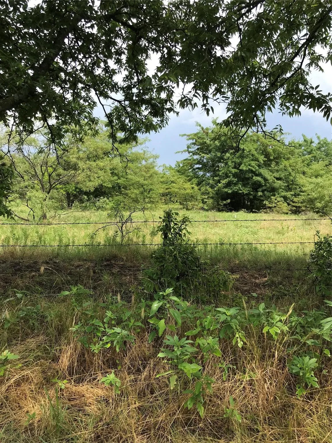 Just pretty land every where you look.