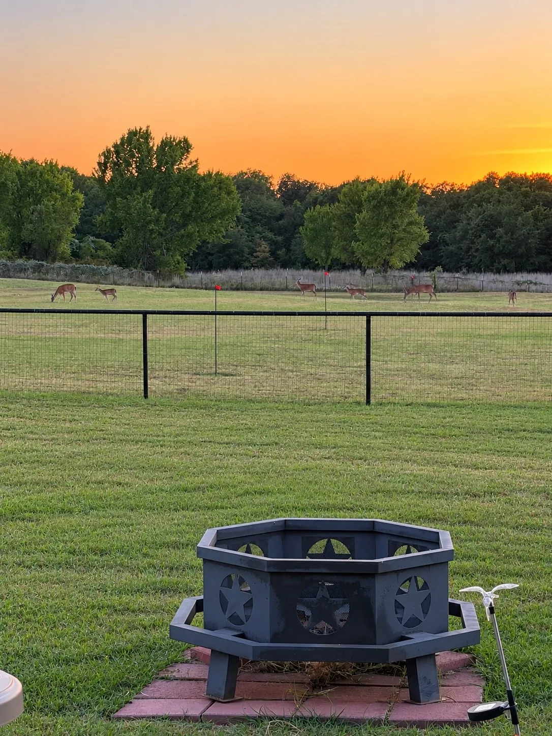 Single Family Residence For Sale in Parker County , 173 Stanley Lane, Poolville, Texas 76487, 3 Bedroom, 2 Bathroom, 2 Garage spaces, 2,271 Sqft, built in 2022, mls#21227450, Real Estate Agent in Poolville, Homes For Sale in Parker county, Homes For Sale in Poolville, Realtor in Poolville Texas, Real Estate Brokerage Independent Realty Texas, Luminita Cordes Realtor