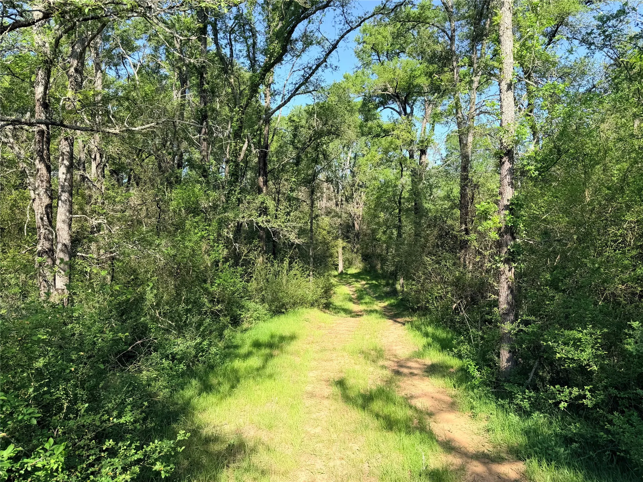 Trails network