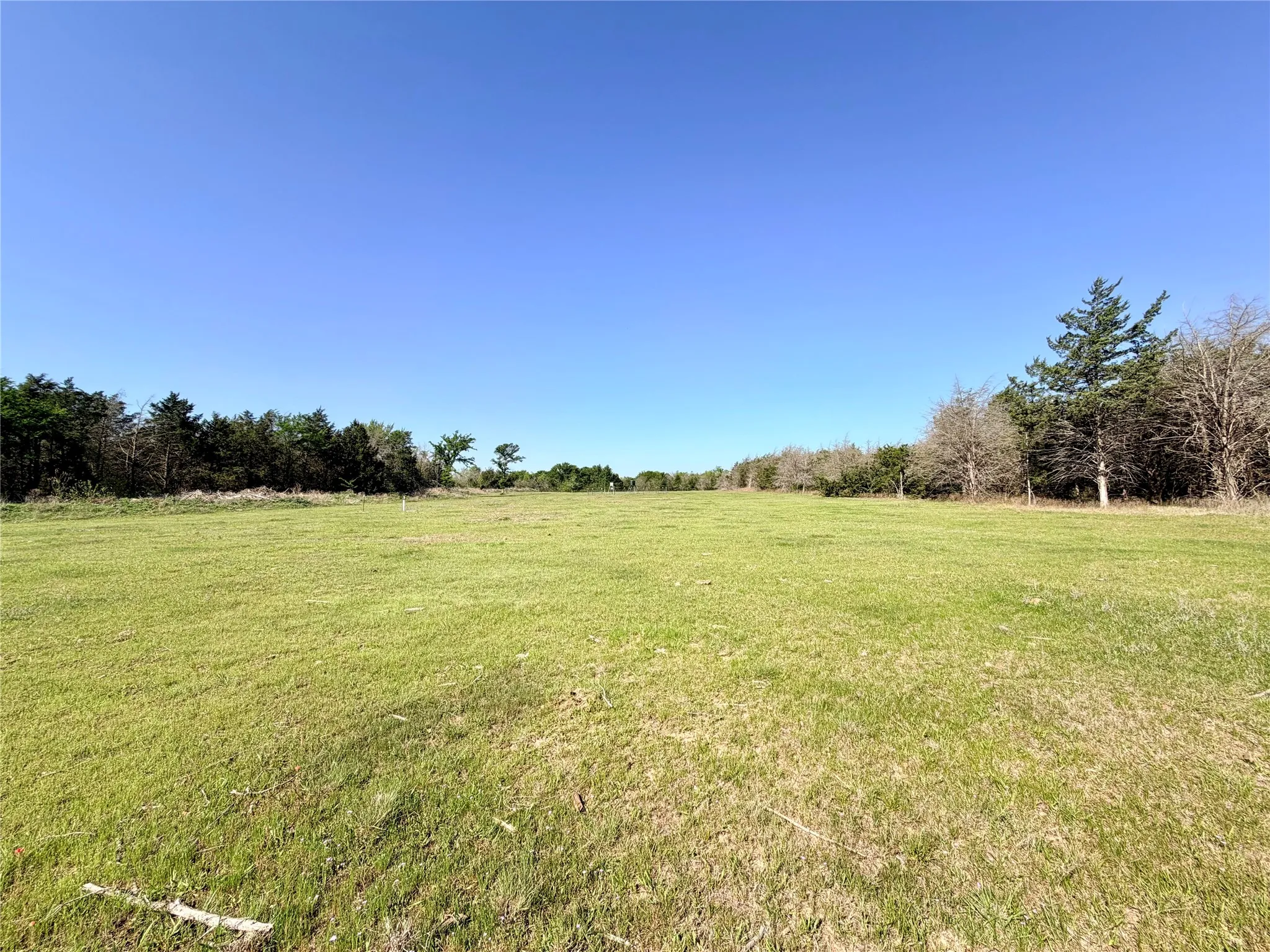 Open grazing area