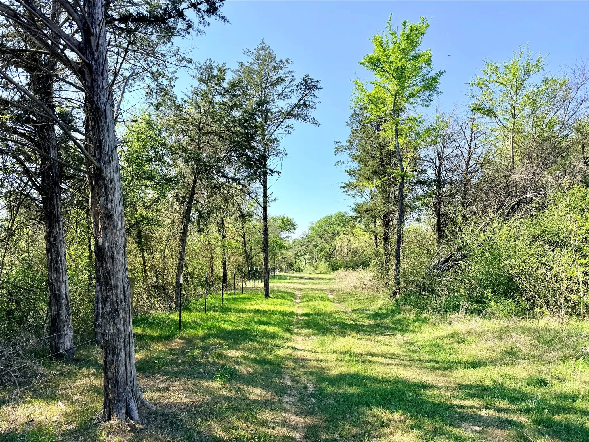 Fenced boundary