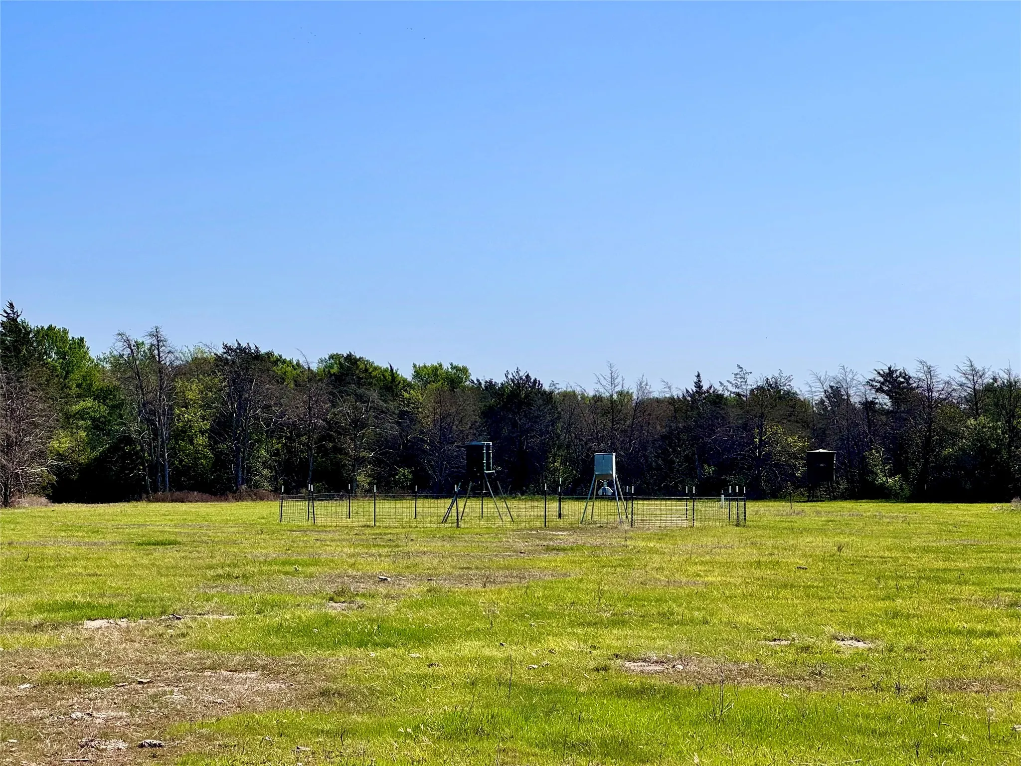 Deer feeders 1