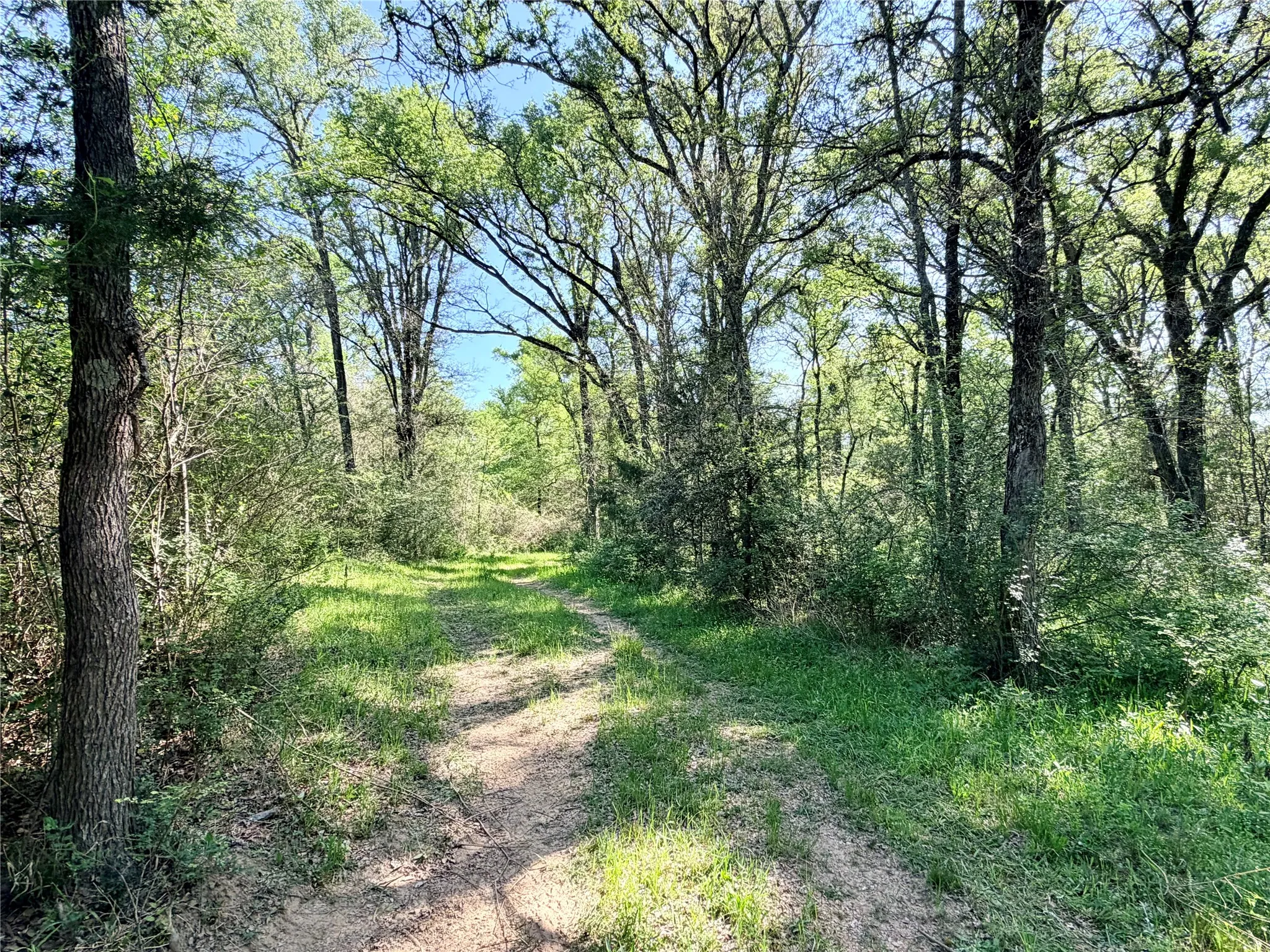 Trails network