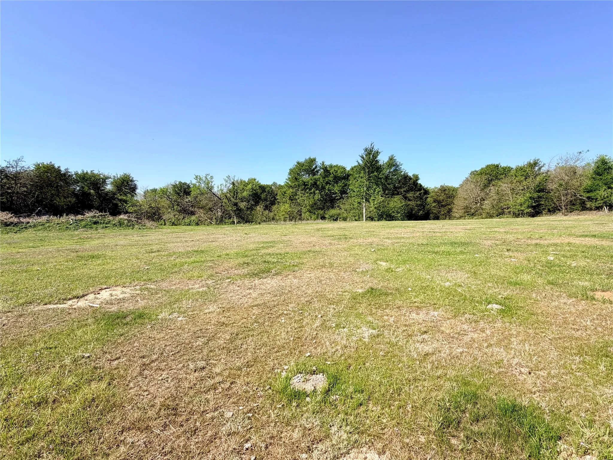 Open grazing area