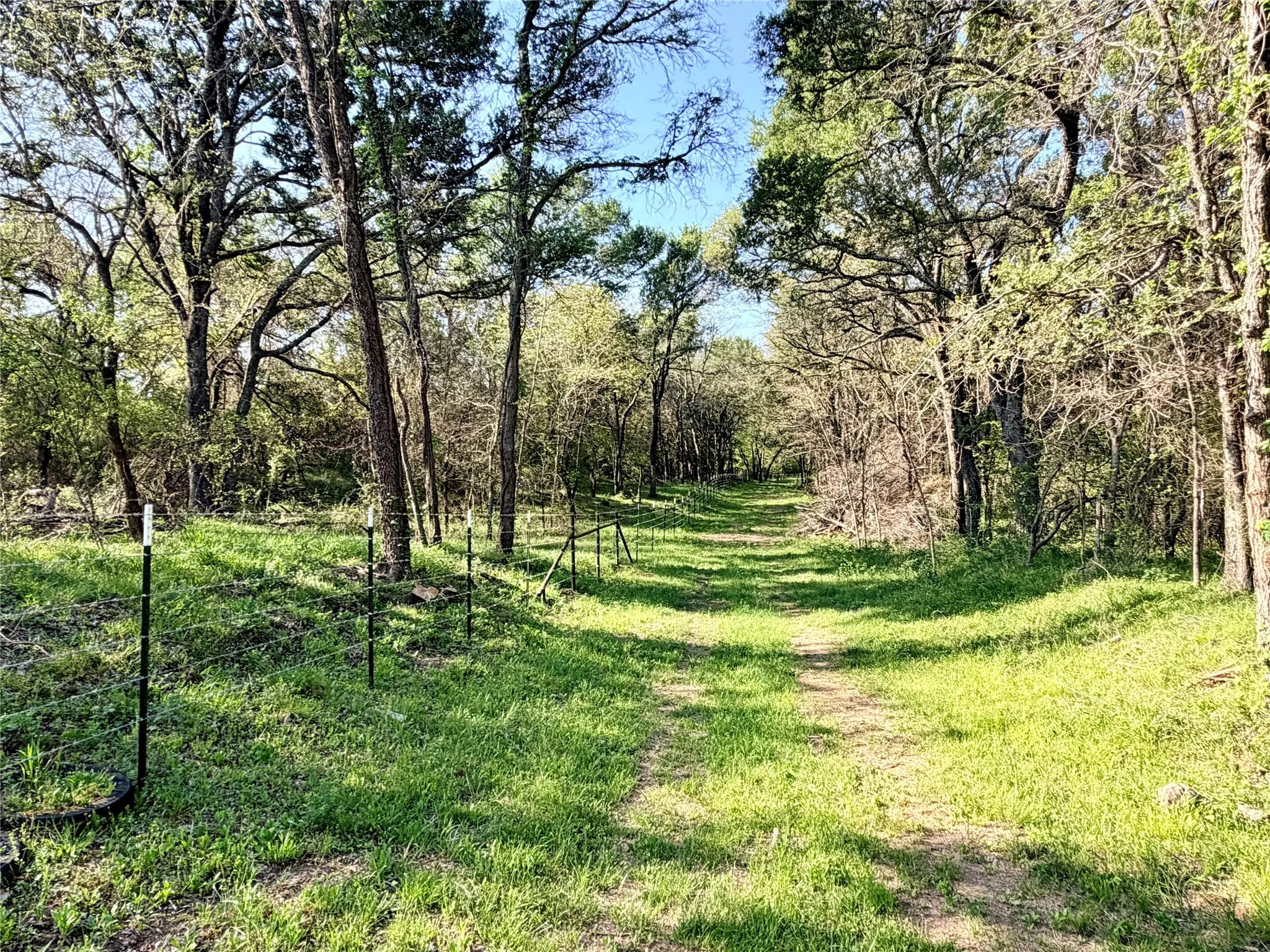 Fenced boundary