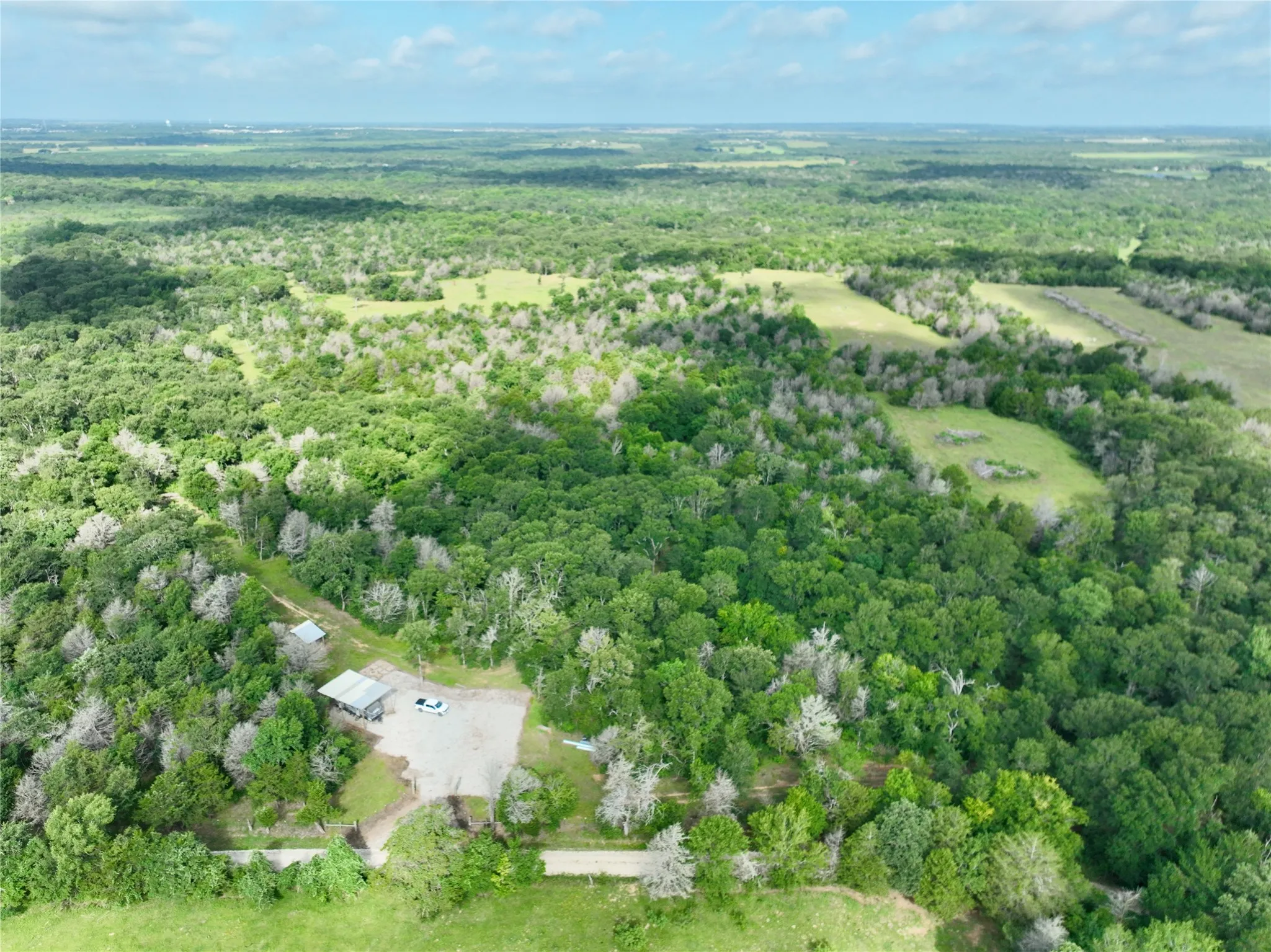Ranch For Sale in Freestone County , TBD 213.5 acs FCR 984, Mexia, Texas 76667, 0, 0, Garage spaces, 0 Sqft, built in 1800, mls#21227290, Real Estate Agent in Mexia, Homes For Sale in Freestone county, Homes For Sale in Mexia, Realtor in Mexia Texas, Real Estate Brokerage Independent Realty Texas, Luminita Cordes Realtor