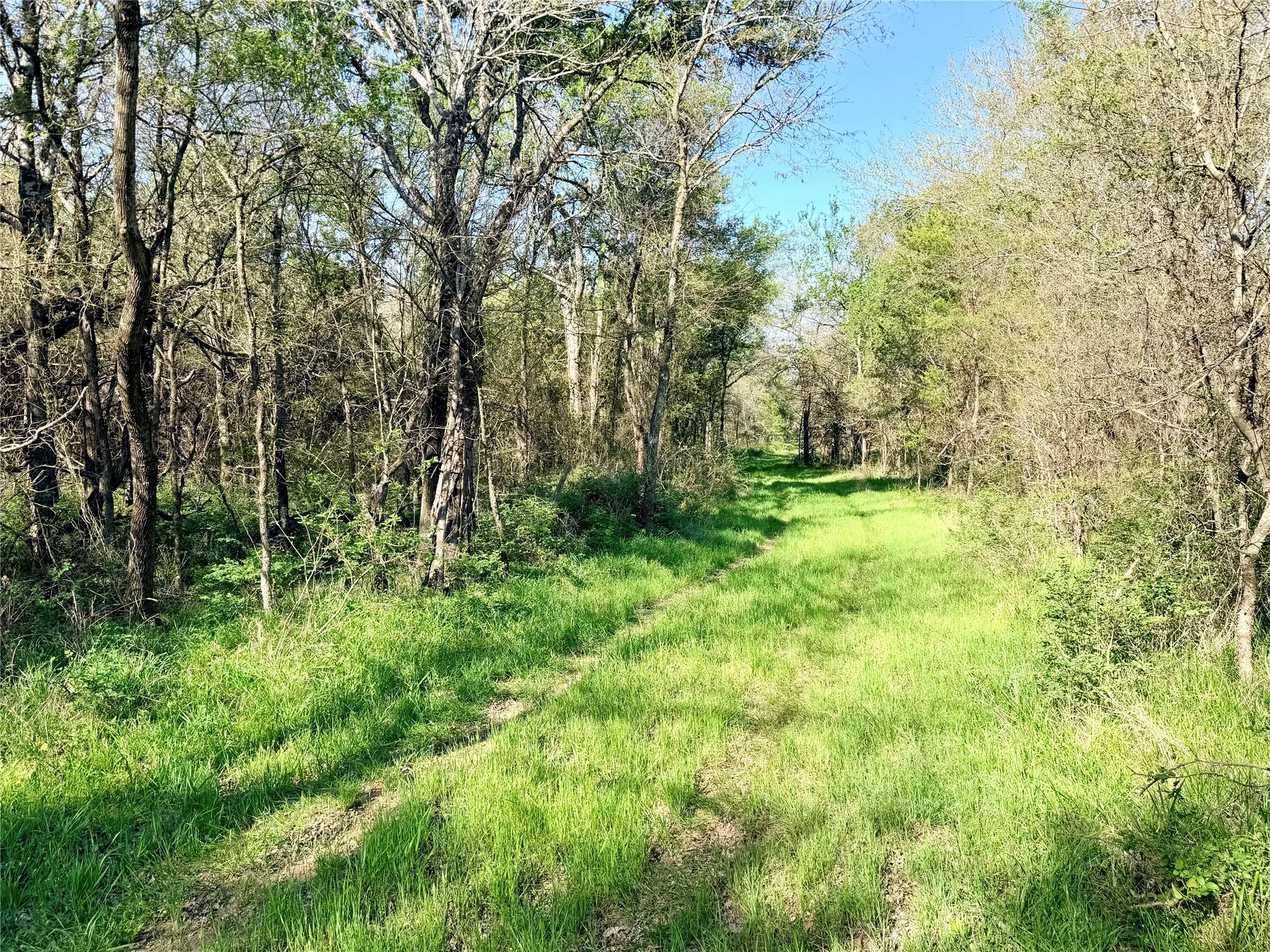 Trails network