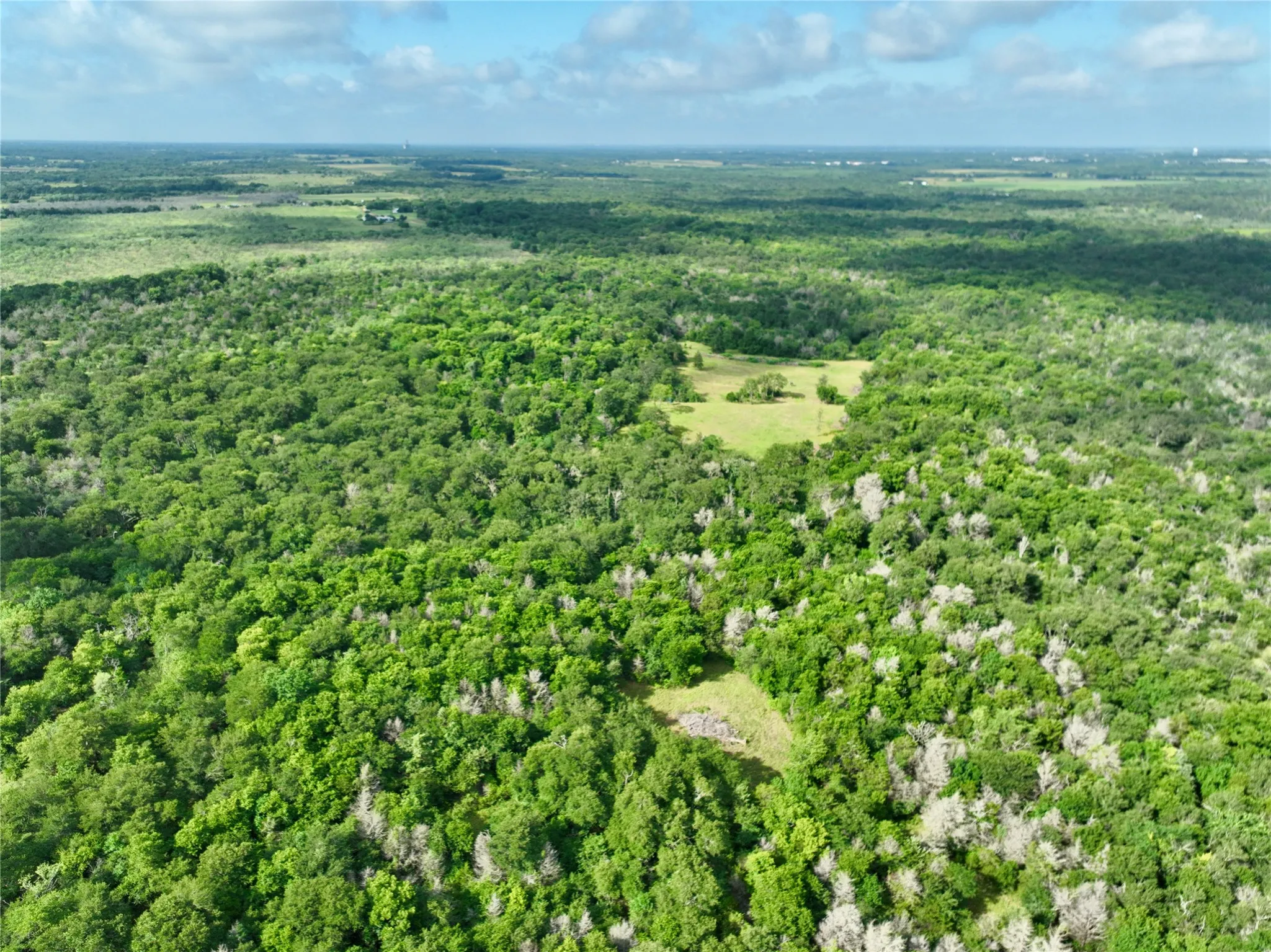 Ranch For Sale in Freestone County , TBD 213.5 acs FCR 984, Mexia, Texas 76667, 0, 0, Garage spaces, 0 Sqft, built in 1800, mls#21227290, Real Estate Agent in Mexia, Homes For Sale in Freestone county, Homes For Sale in Mexia, Realtor in Mexia Texas, Real Estate Brokerage Independent Realty Texas, Luminita Cordes Realtor
