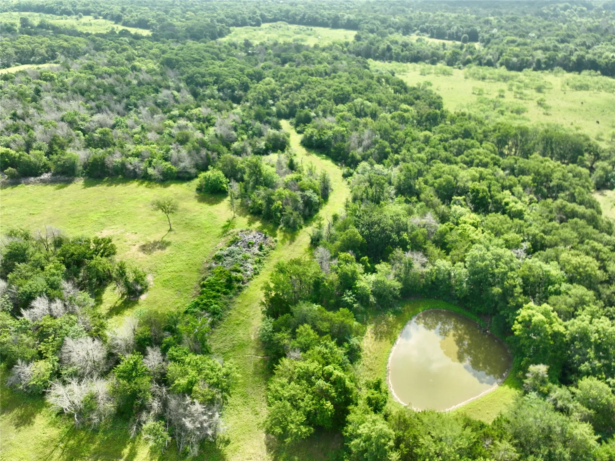 Ranch For Sale in Freestone County , TBD 213.5 acs FCR 984, Mexia, Texas 76667, 0, 0, Garage spaces, 0 Sqft, built in 1800, mls#21227290, Real Estate Agent in Mexia, Homes For Sale in Freestone county, Homes For Sale in Mexia, Realtor in Mexia Texas, Real Estate Brokerage Independent Realty Texas, Luminita Cordes Realtor