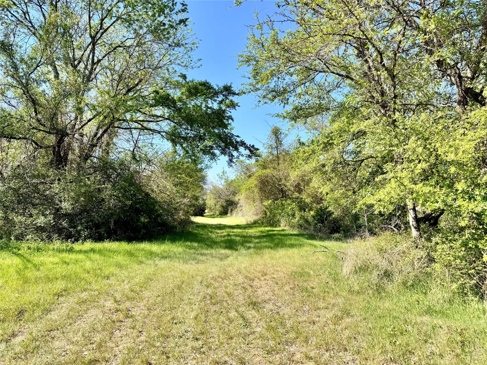 Trails network