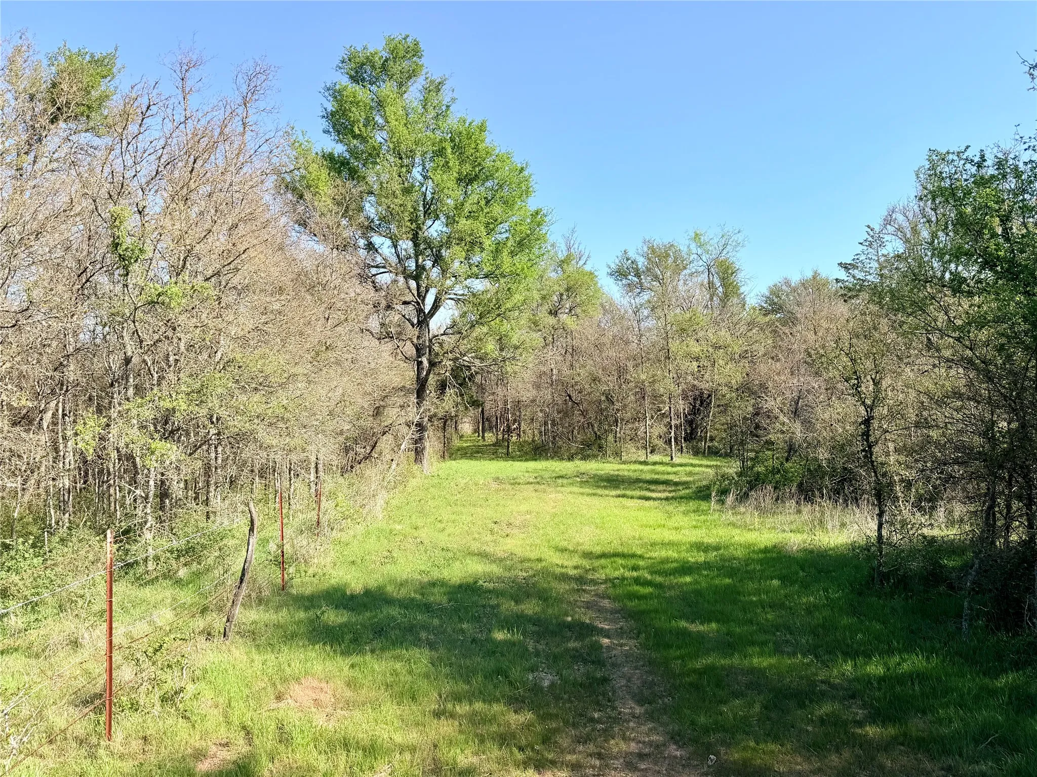 Fenced boundary