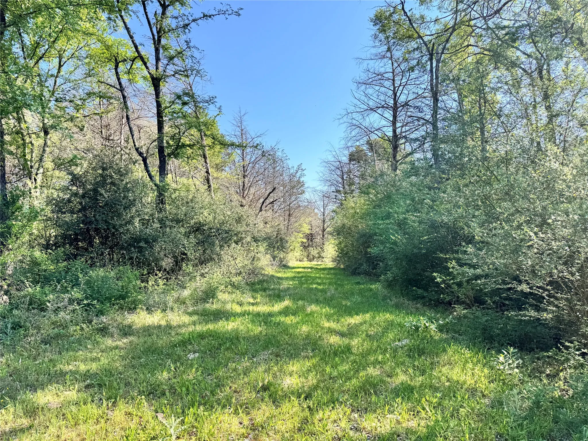 Trails network