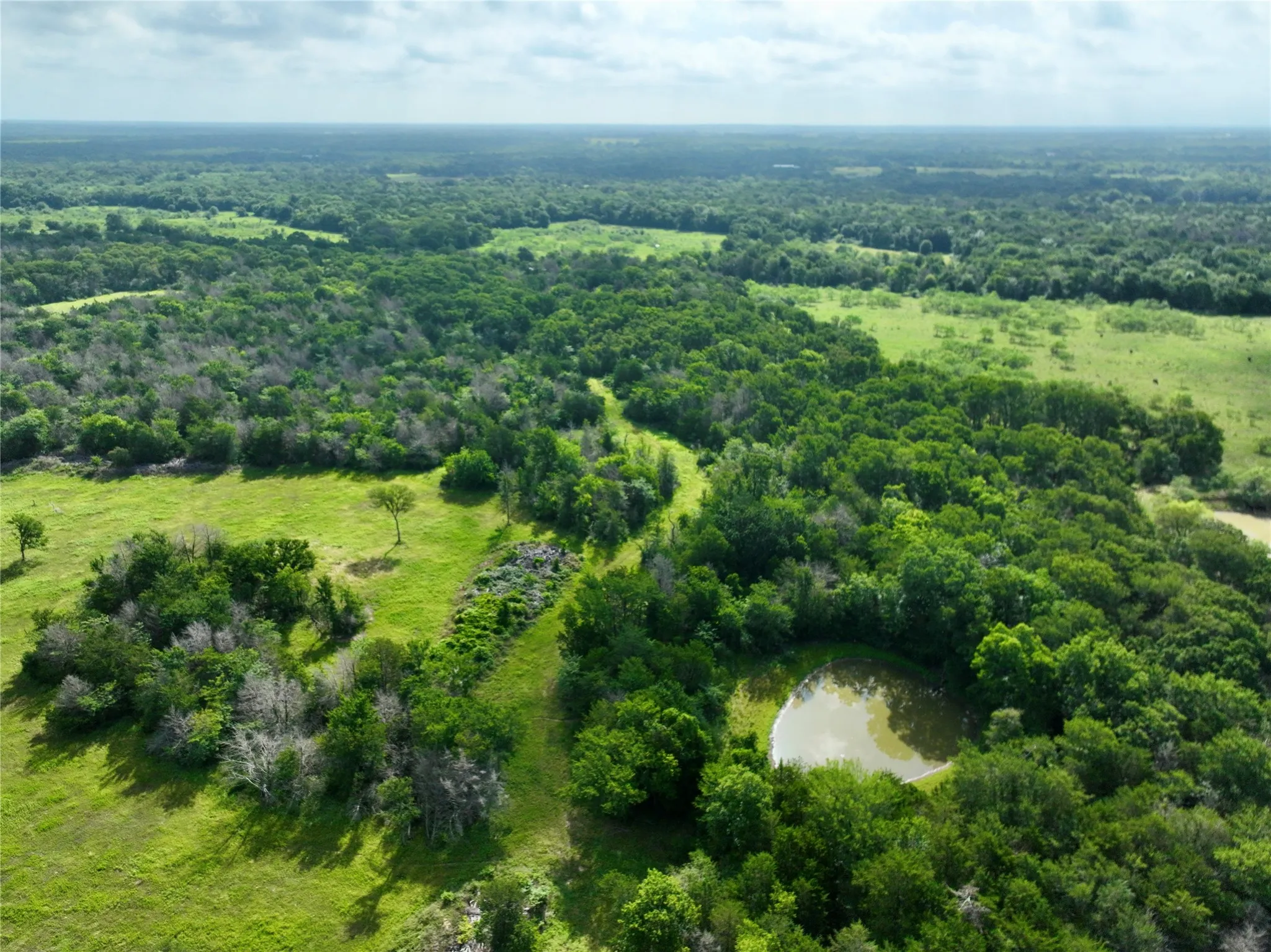 Ranch For Sale in Freestone County , TBD 213.5 acs FCR 984, Mexia, Texas 76667, 0, 0, Garage spaces, 0 Sqft, built in 1800, mls#21227290, Real Estate Agent in Mexia, Homes For Sale in Freestone county, Homes For Sale in Mexia, Realtor in Mexia Texas, Real Estate Brokerage Independent Realty Texas, Luminita Cordes Realtor