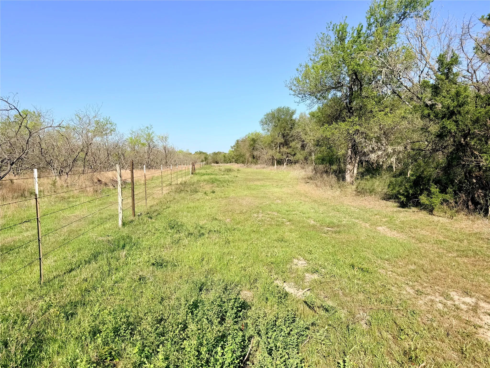 Fenced boundary