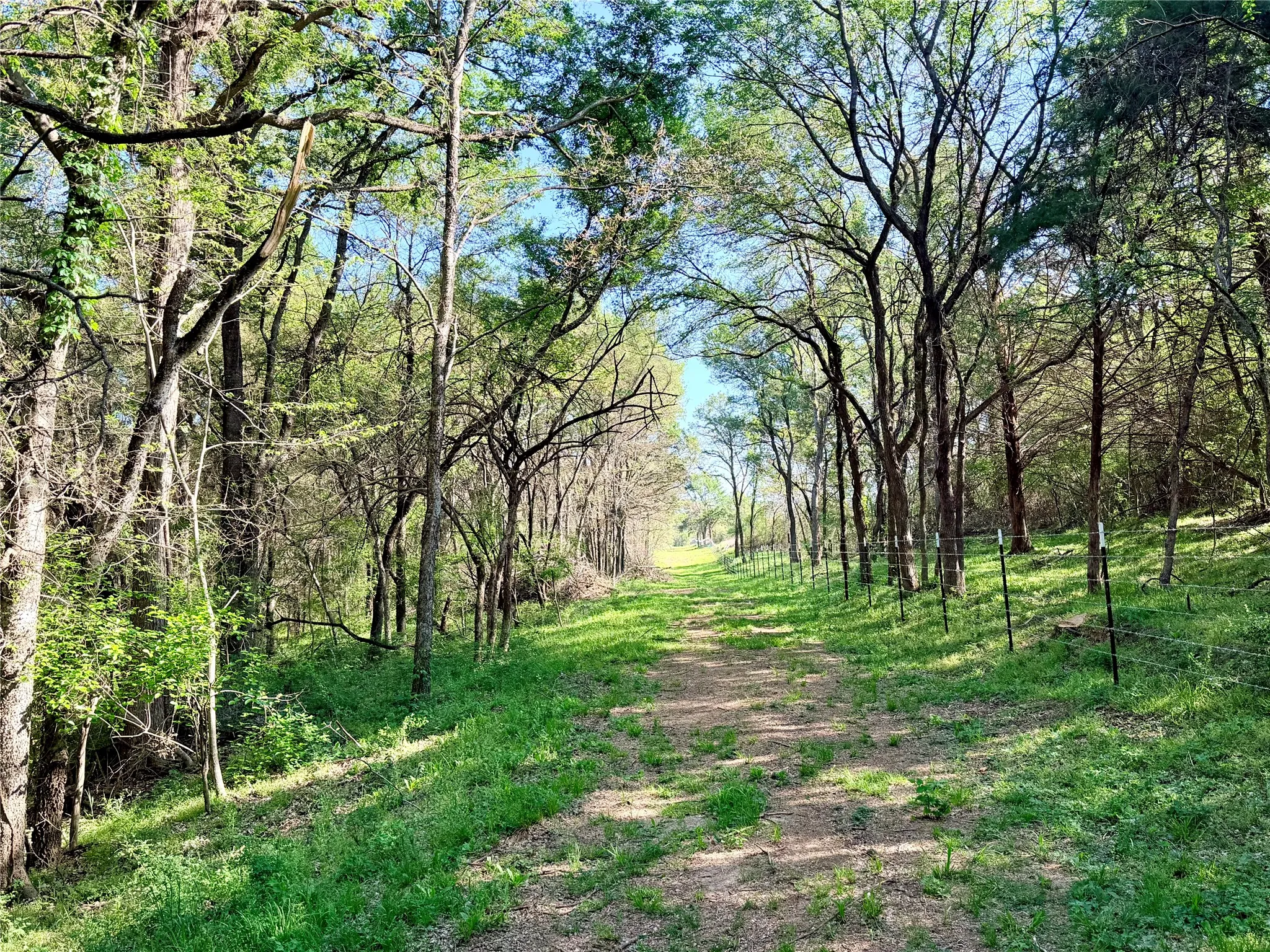Fenced boundary