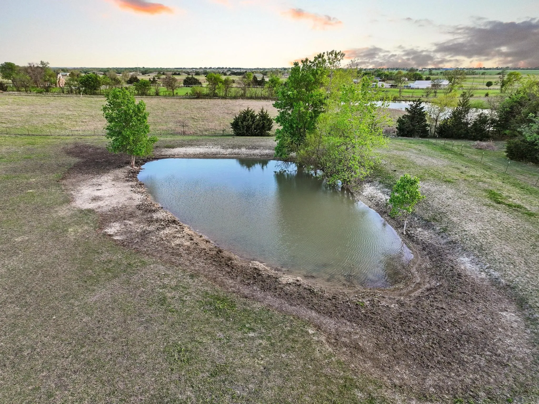 Pond