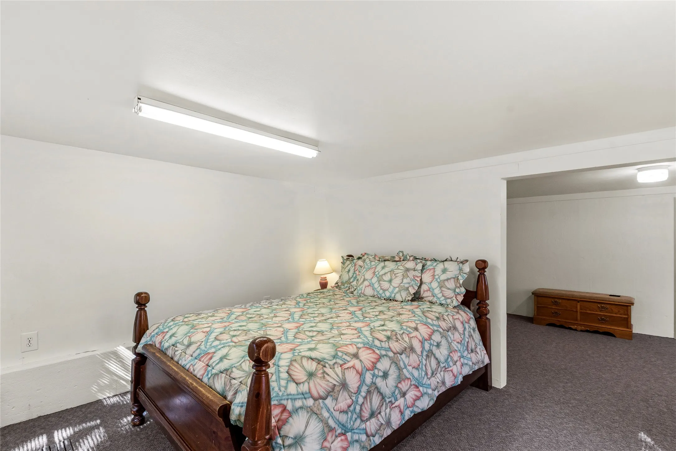 Downstairs Flex room/bedroom