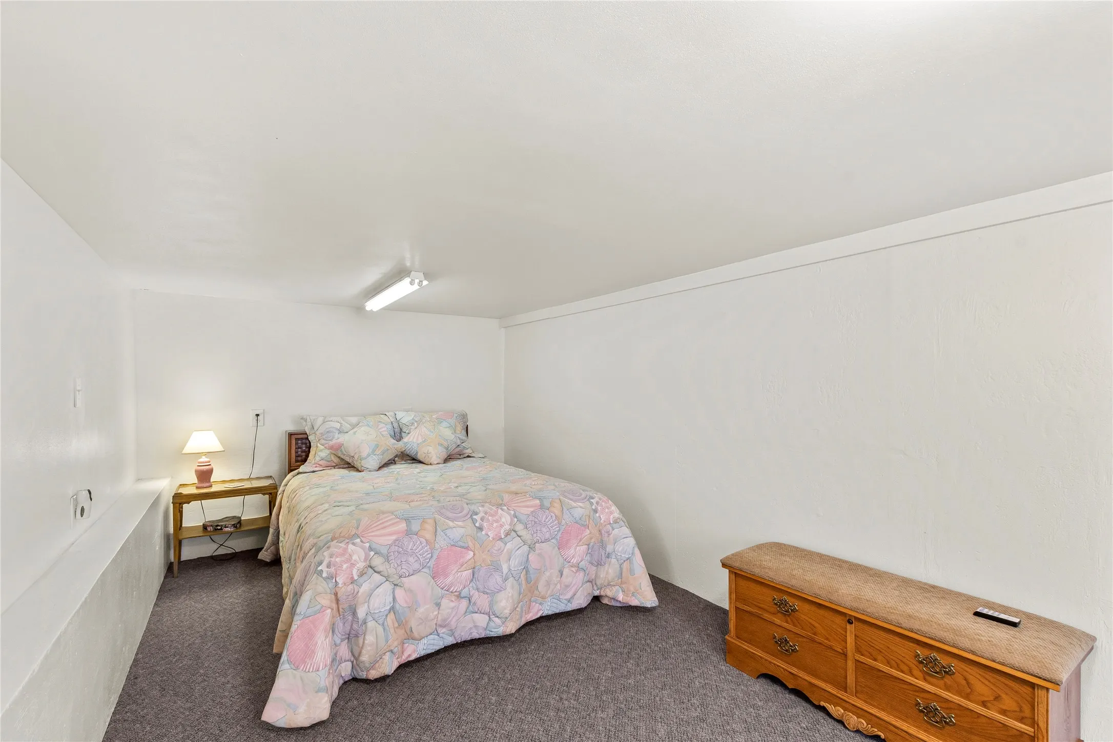 Downstairs Flex room/bedroom