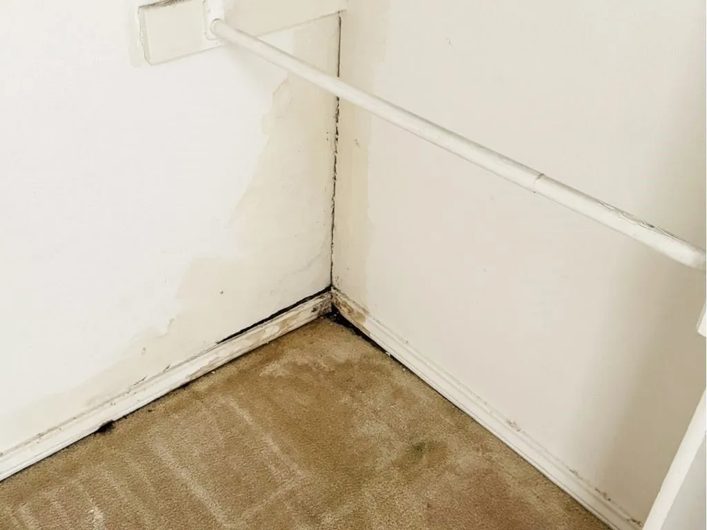 Condominium For Sale in Dallas County , 4113 Esters Road 603, Irving, Texas 75038, 1 Bedroom, 1 Bathroom, Garage spaces, 493 Sqft, built in 1984, Preowned, mls#21227431, Real Estate Agent in Irving, Homes For Sale in Dallas county, Homes For Sale in Irving, Realtor in Irving Texas, Real Estate Brokerage Independent Realty Texas, Luminita Cordes Realtor