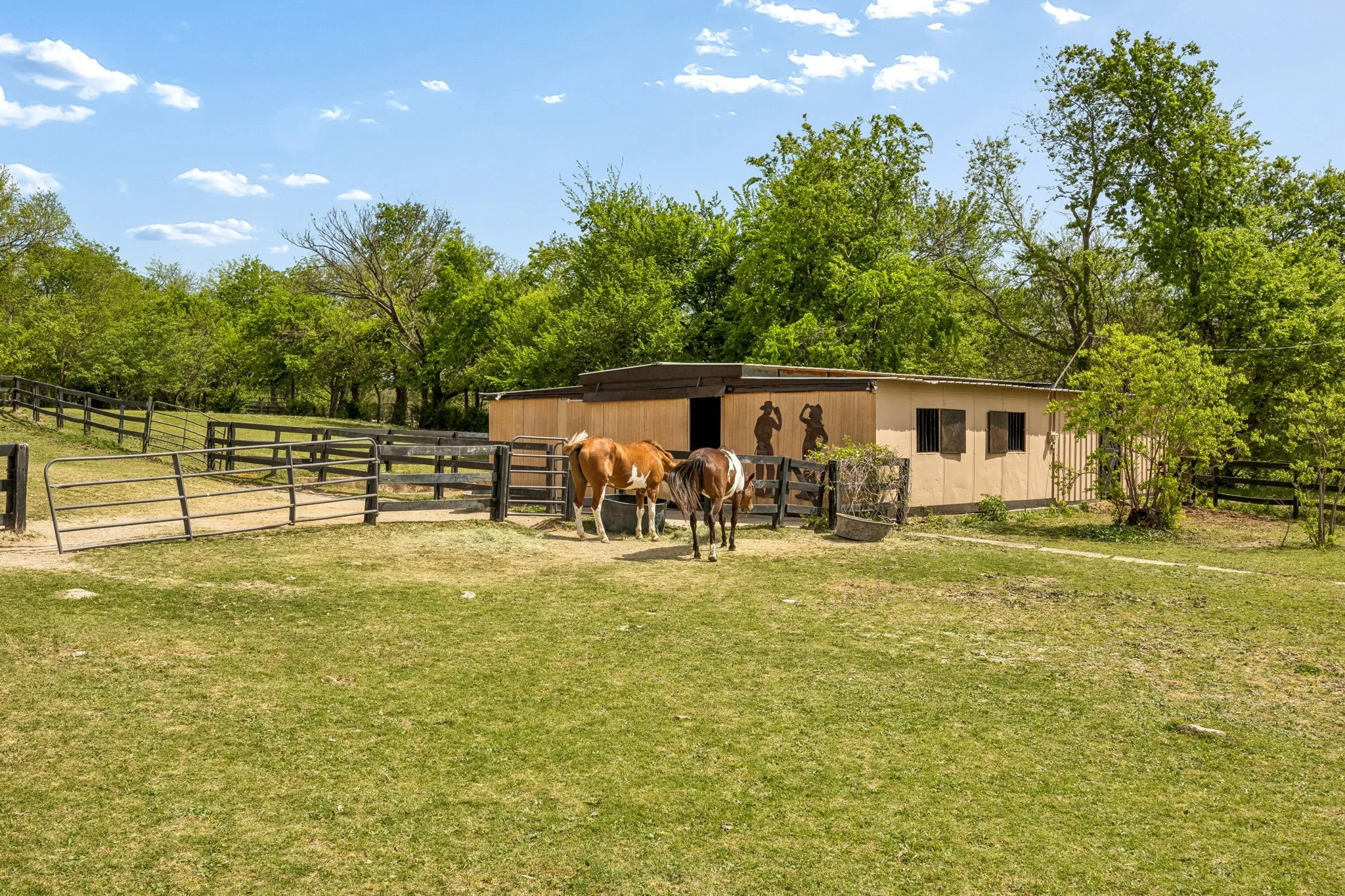 Single Family Residence For Sale in Collin County , 3800 Ranch Estates Drive, Plano, Texas 75074, 3 Bedrooms, 4 Bathrooms, 3 Garage spaces, 5,579 Sqft, built in 2007, Preowned, Price $1,950,000, mls#21226061, Real Estate Agent in Plano, Homes For Sale in Collin county, Homes For Sale in Plano, Realtor in Plano Texas, Real Estate Brokerage Independent Realty Texas, Luminita Cordes Realtor