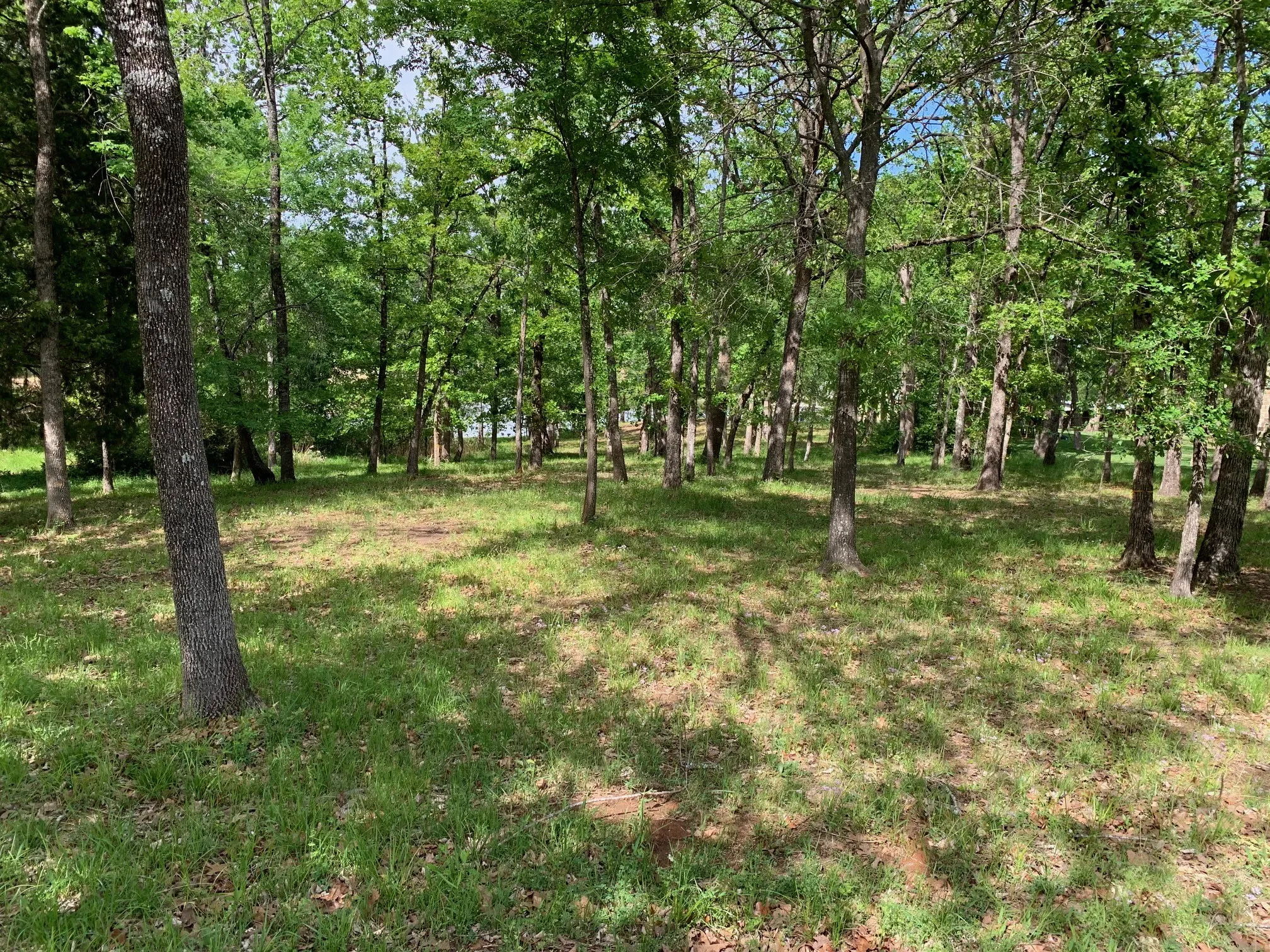 Unimproved Land For Sale in Henderson County , TBD Esquire Estates Road, Mabank, Texas 75156, 0, 0, Garage spaces, 0 Sqft, built in 0, mls#21224131, Real Estate Agent in Mabank, Homes For Sale in Henderson county, Homes For Sale in Mabank, Realtor in Mabank Texas, Real Estate Brokerage Independent Realty Texas, Luminita Cordes Realtor