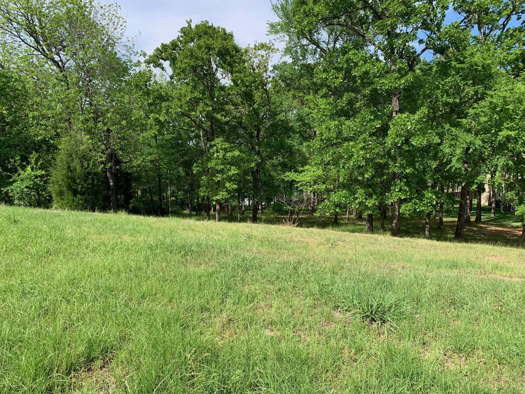 Unimproved Land For Sale in Henderson County , TBD Esquire Estates Road, Mabank, Texas 75156, 0, 0, Garage spaces, 0 Sqft, built in 0, mls#21224131, Real Estate Agent in Mabank, Homes For Sale in Henderson county, Homes For Sale in Mabank, Realtor in Mabank Texas, Real Estate Brokerage Independent Realty Texas, Luminita Cordes Realtor