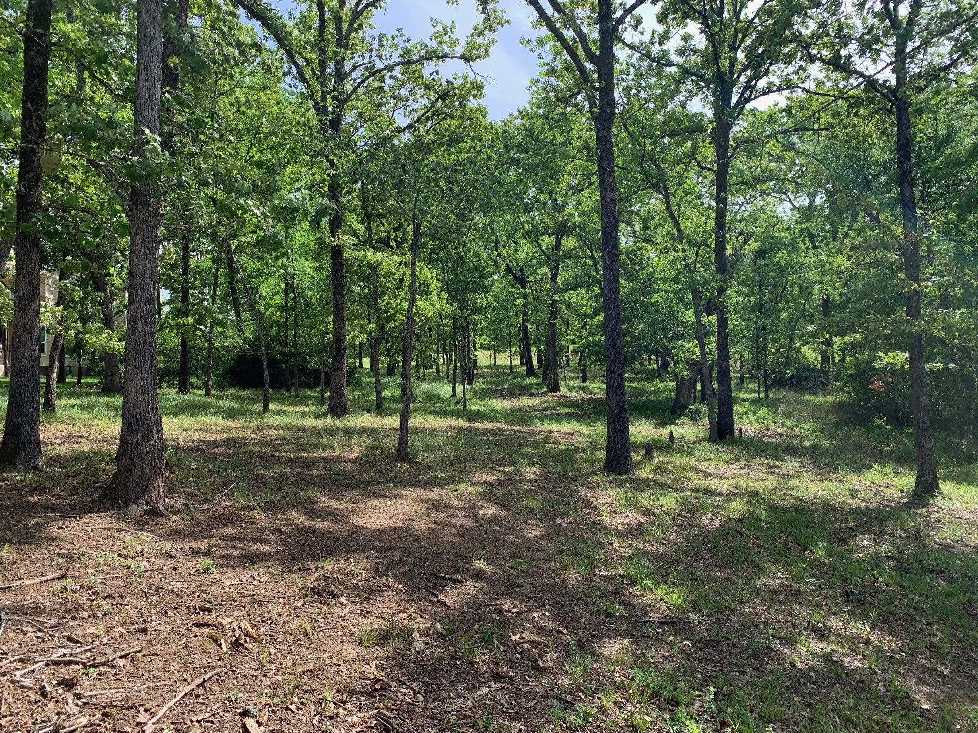 Unimproved Land For Sale in Henderson County , TBD Esquire Estates Road, Mabank, Texas 75156, 0, 0, Garage spaces, 0 Sqft, built in 0, mls#21224131, Real Estate Agent in Mabank, Homes For Sale in Henderson county, Homes For Sale in Mabank, Realtor in Mabank Texas, Real Estate Brokerage Independent Realty Texas, Luminita Cordes Realtor