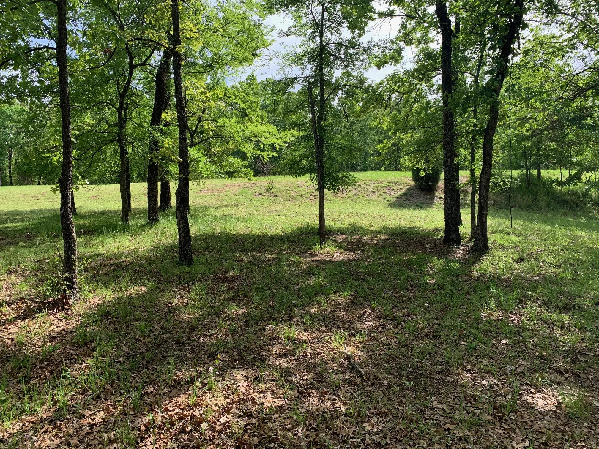Unimproved Land For Sale in Henderson County , TBD Esquire Estates Road, Mabank, Texas 75156, 0, 0, Garage spaces, 0 Sqft, built in 0, mls#21224131, Real Estate Agent in Mabank, Homes For Sale in Henderson county, Homes For Sale in Mabank, Realtor in Mabank Texas, Real Estate Brokerage Independent Realty Texas, Luminita Cordes Realtor