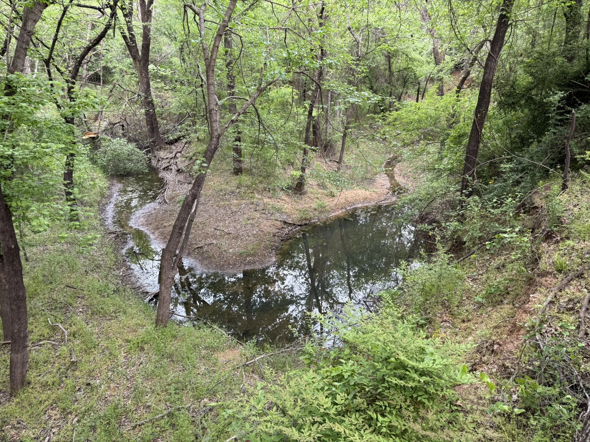 Natural creek winding through a densely wooded area