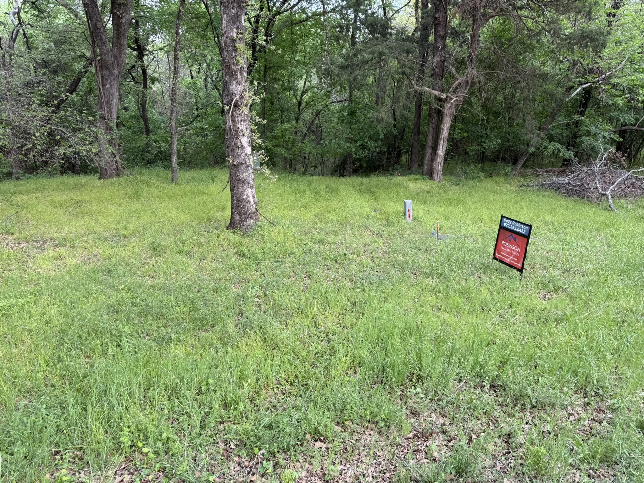 Expansive green space featuring mature trees and natural vegetation