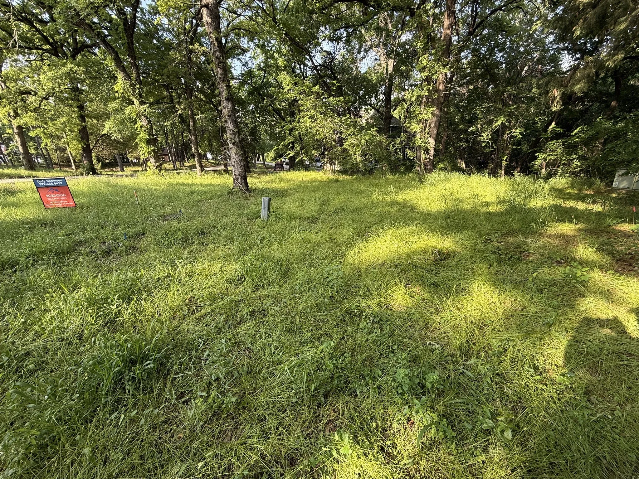 Cleared lot featuring mature trees and lush green grass