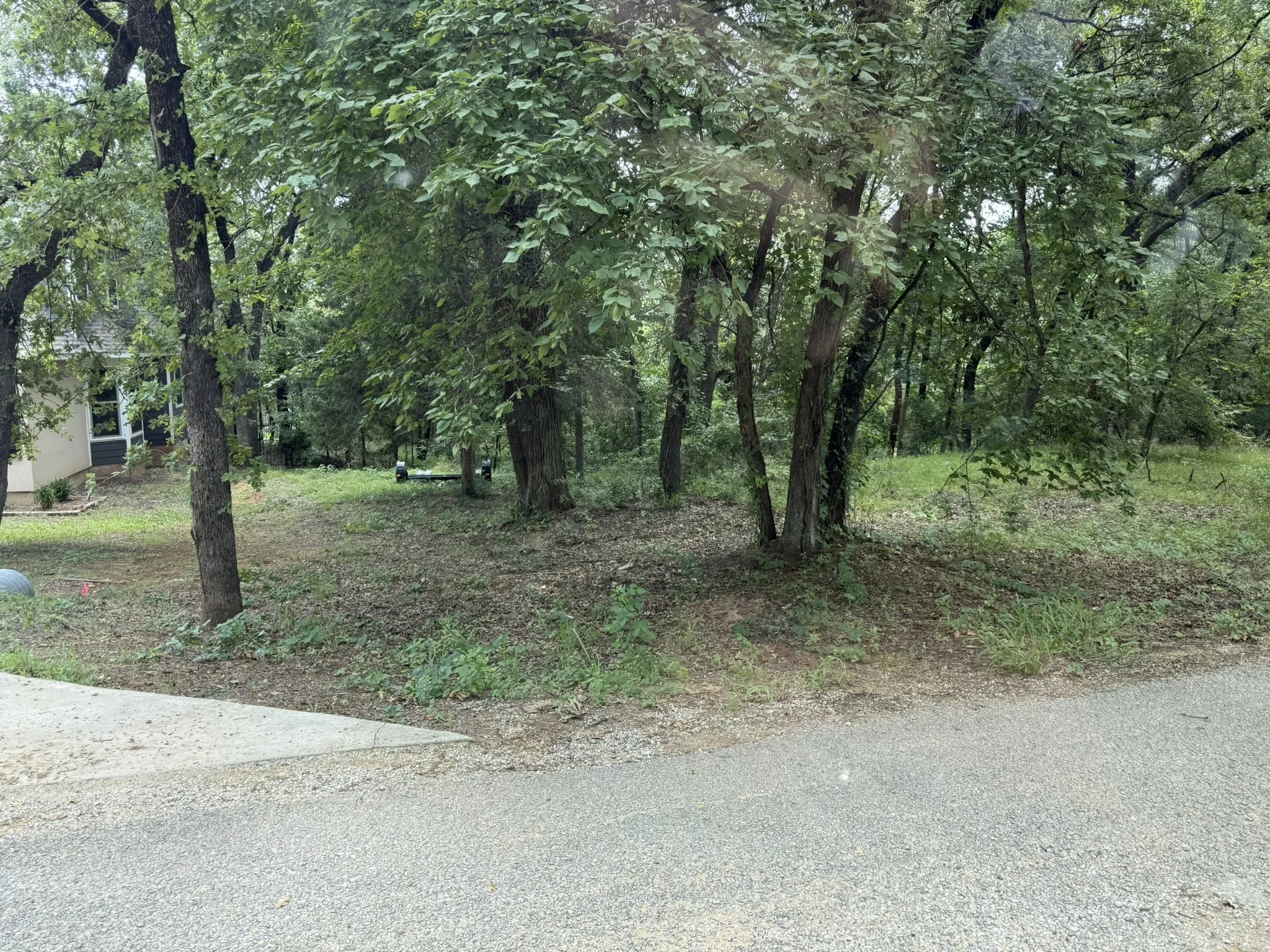 Wooded lot with mature trees and a gently sloping terrain