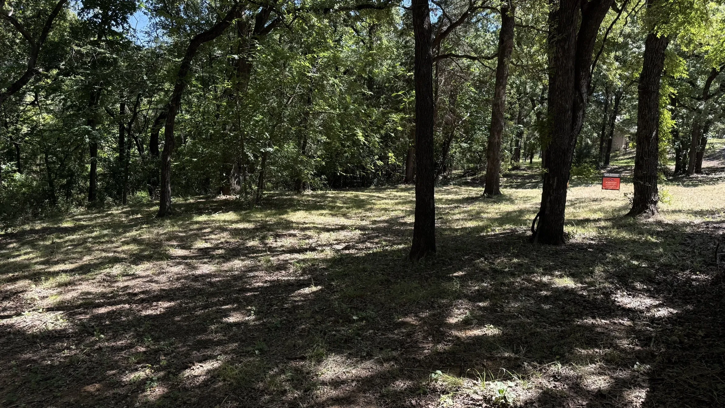 Wooded lot with mature trees and natural ground cover